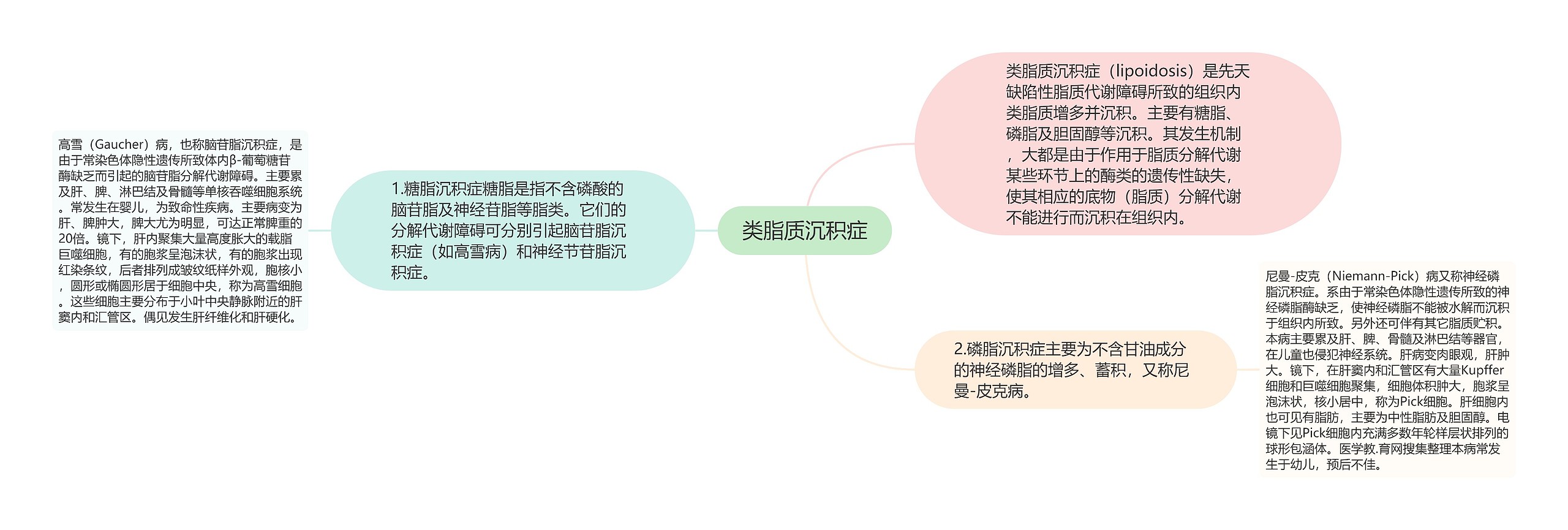 类脂质沉积症