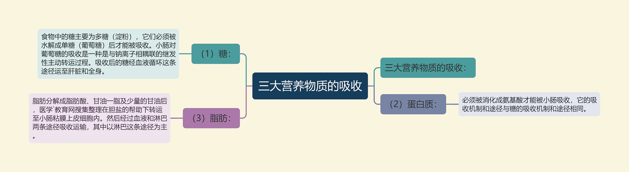 三大营养物质的吸收