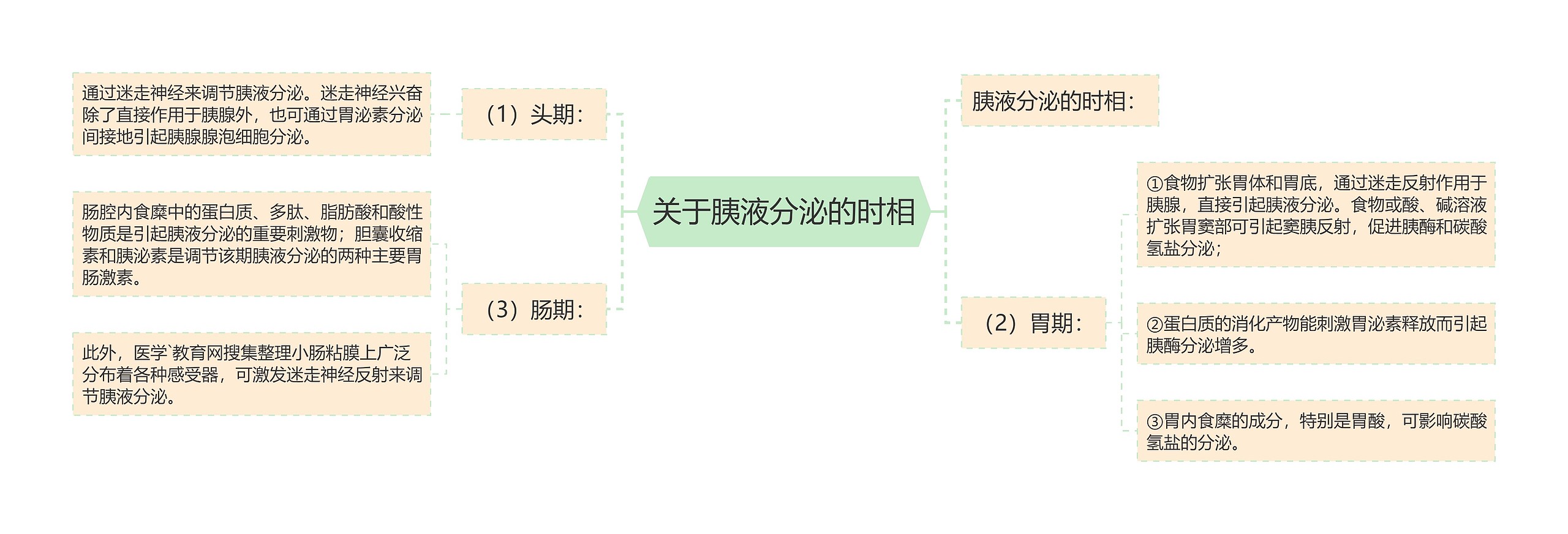 关于胰液分泌的时相
