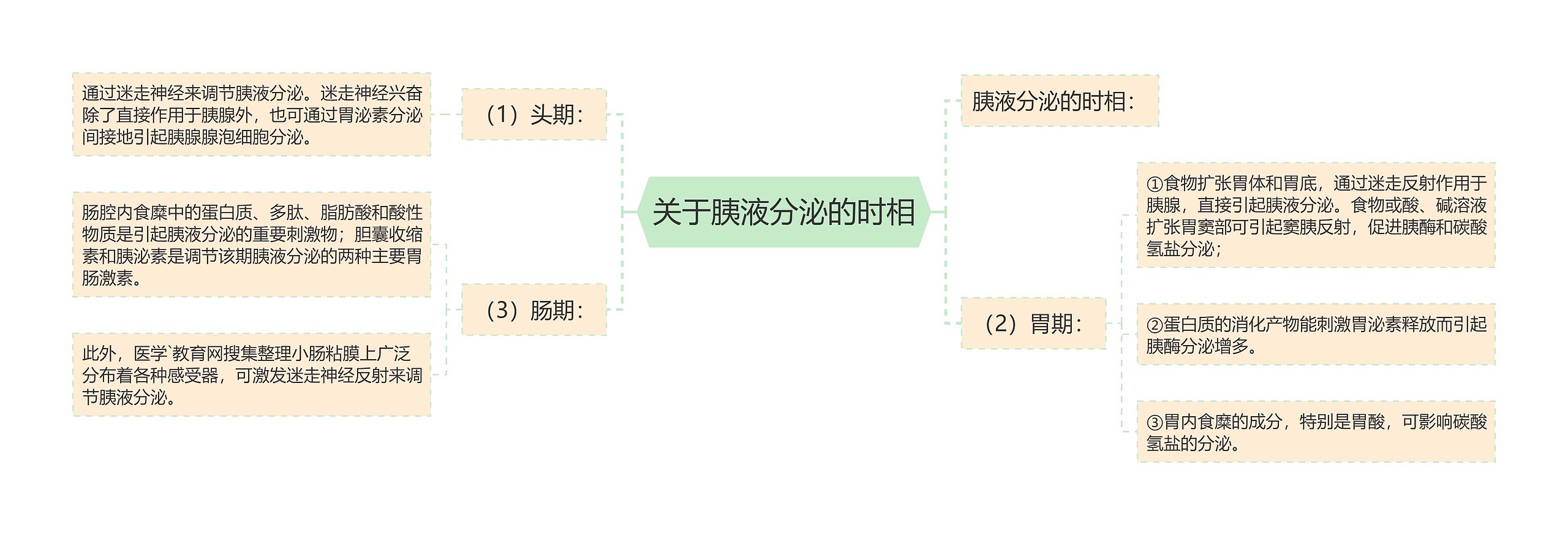 关于胰液分泌的时相思维导图