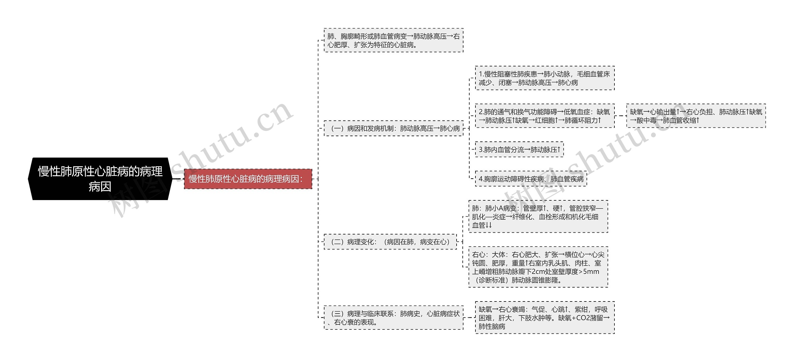 慢性肺原性心脏病的病理病因思维导图