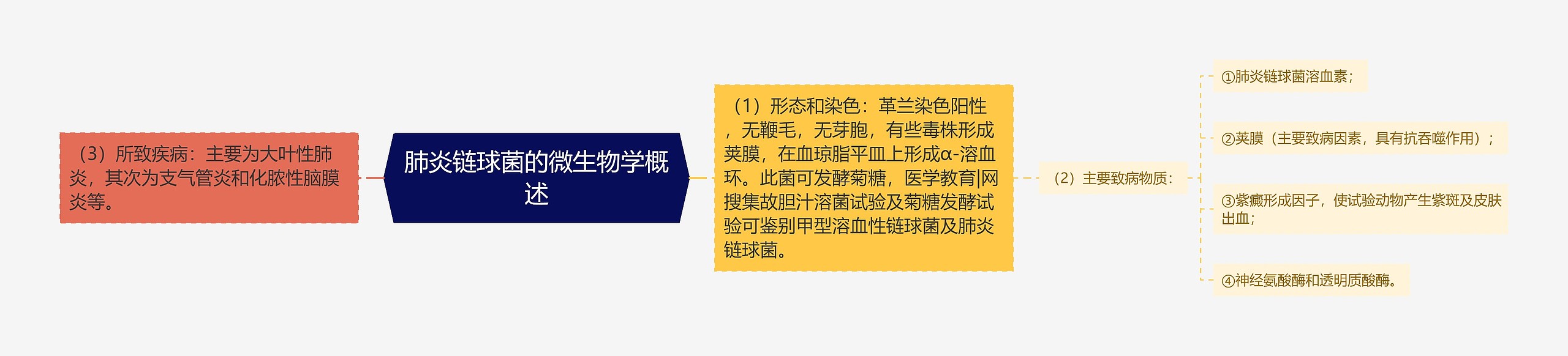 肺炎链球菌的微生物学概述思维导图