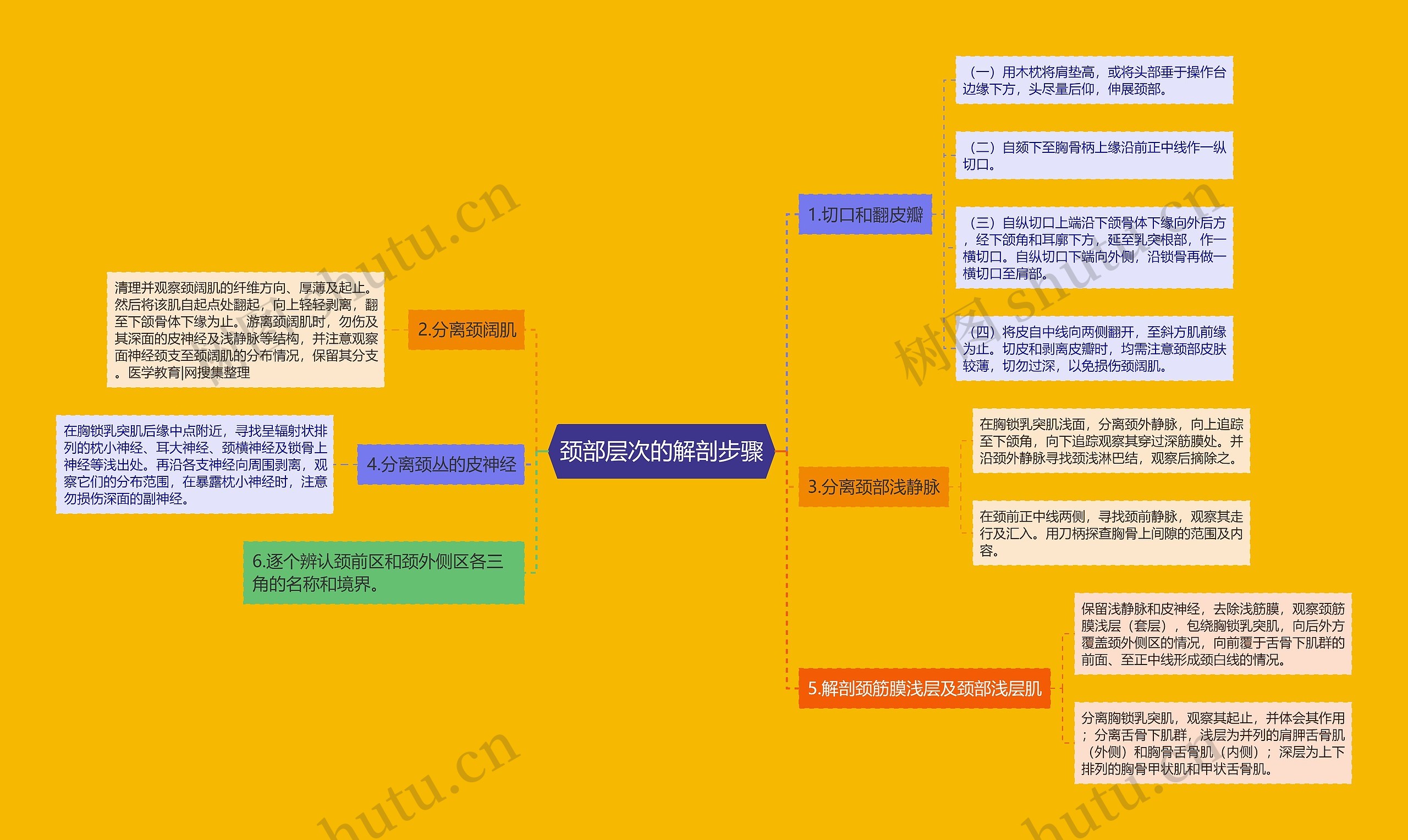 颈部层次的解剖步骤思维导图