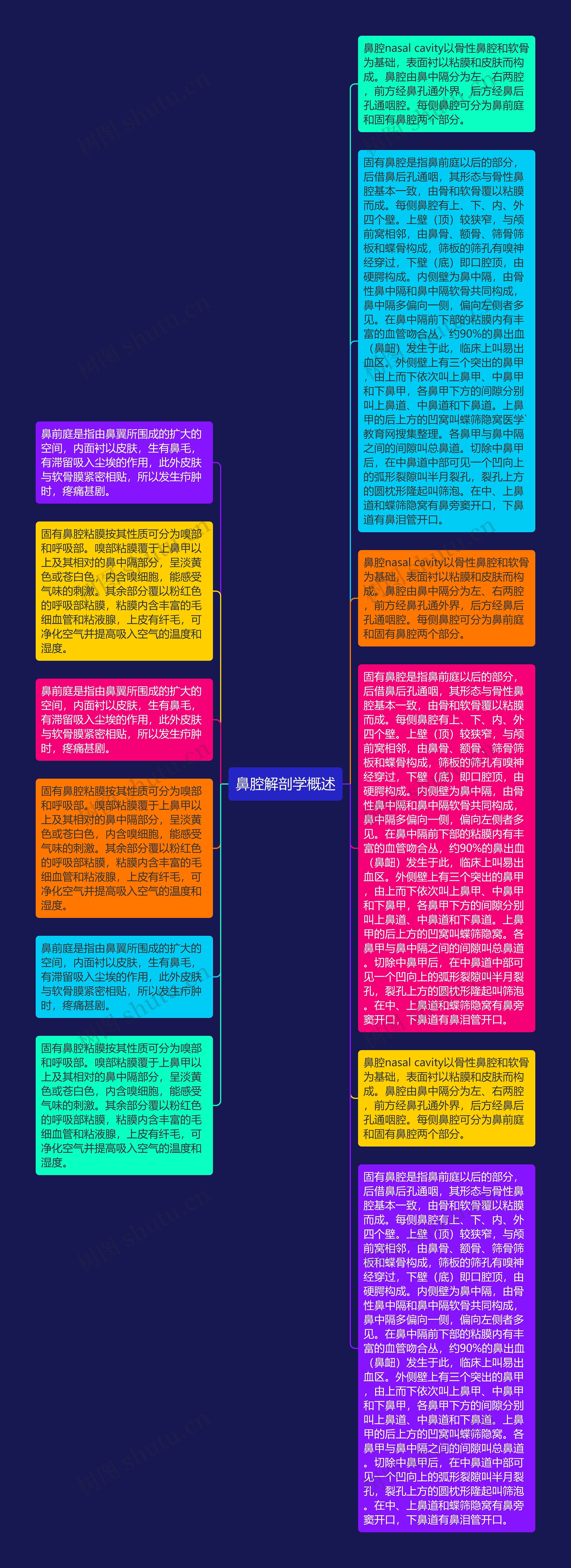 鼻腔解剖学概述思维导图高清图 鼻腔解剖学概述思维导图