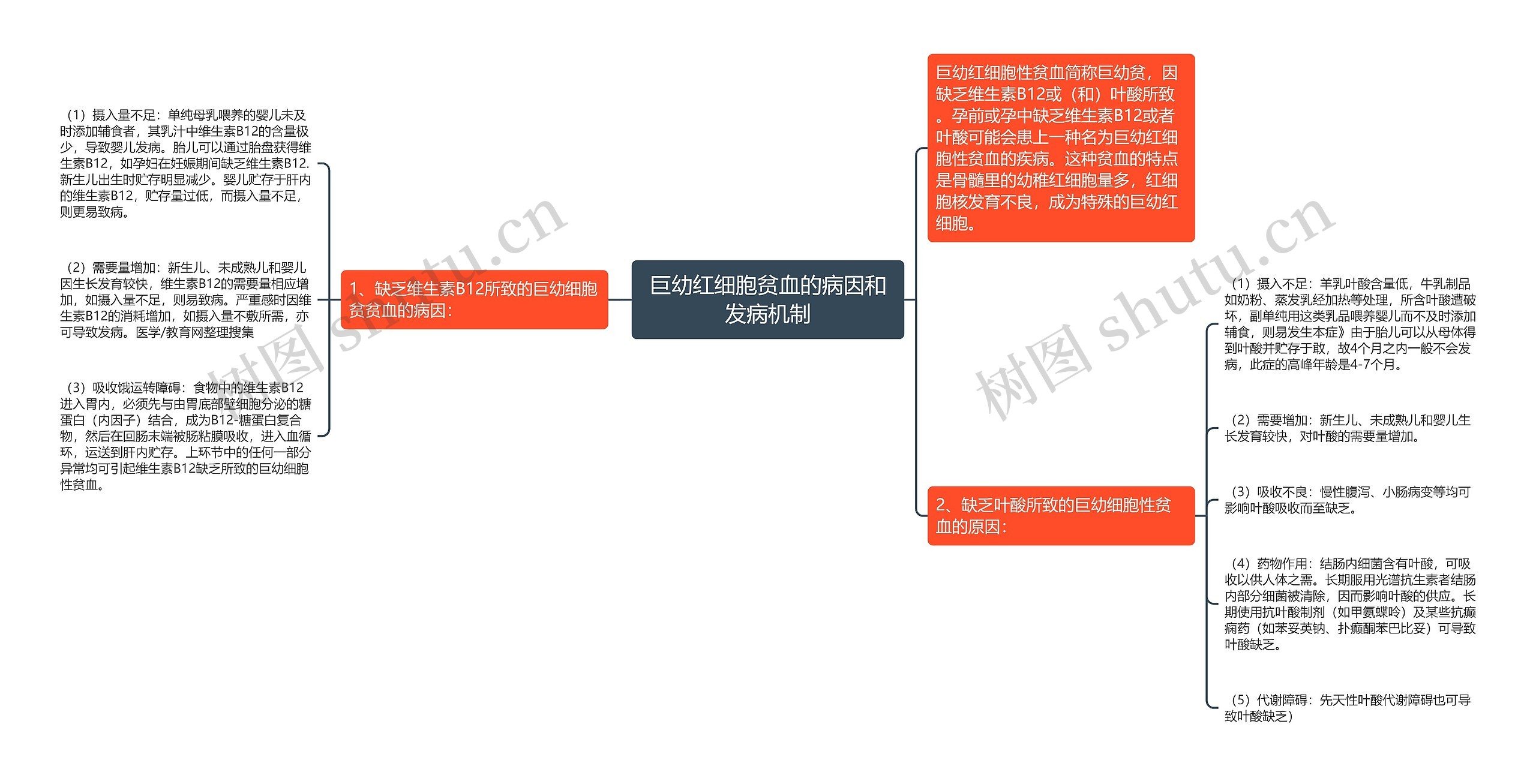 巨幼红细胞贫血的病因和发病机制思维导图