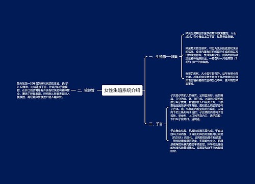 女性生殖系统介绍
