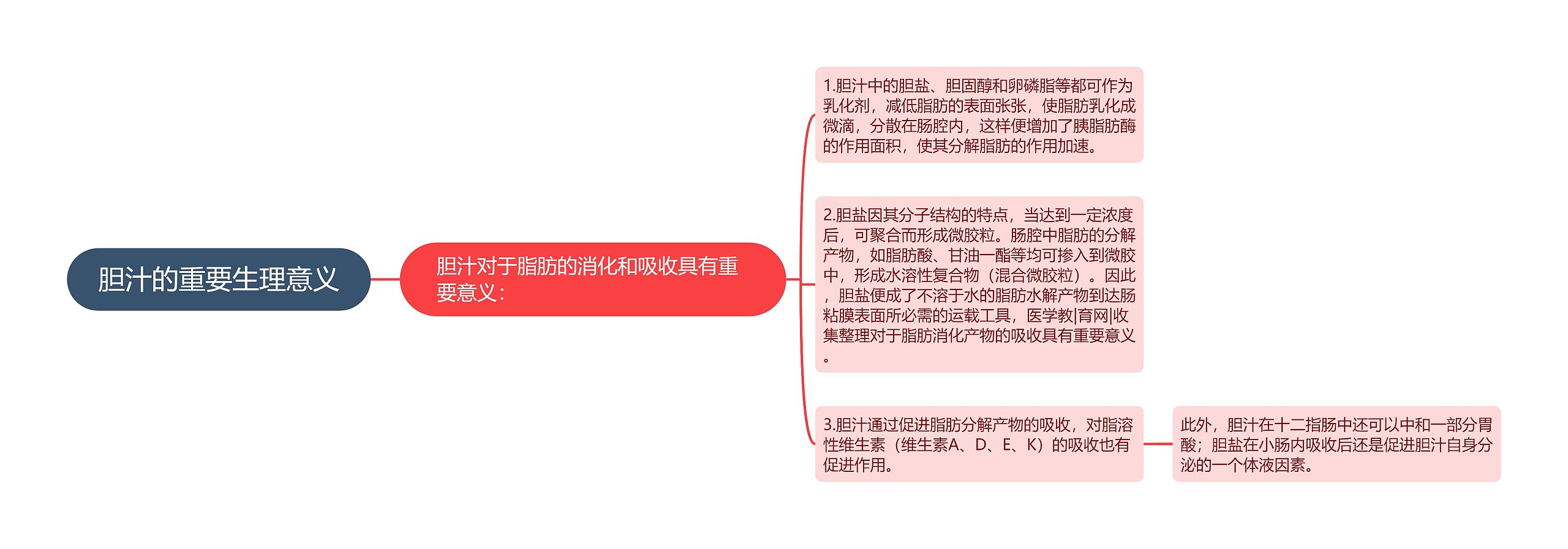 胆汁的重要生理意义 胆汁的重要生理意义