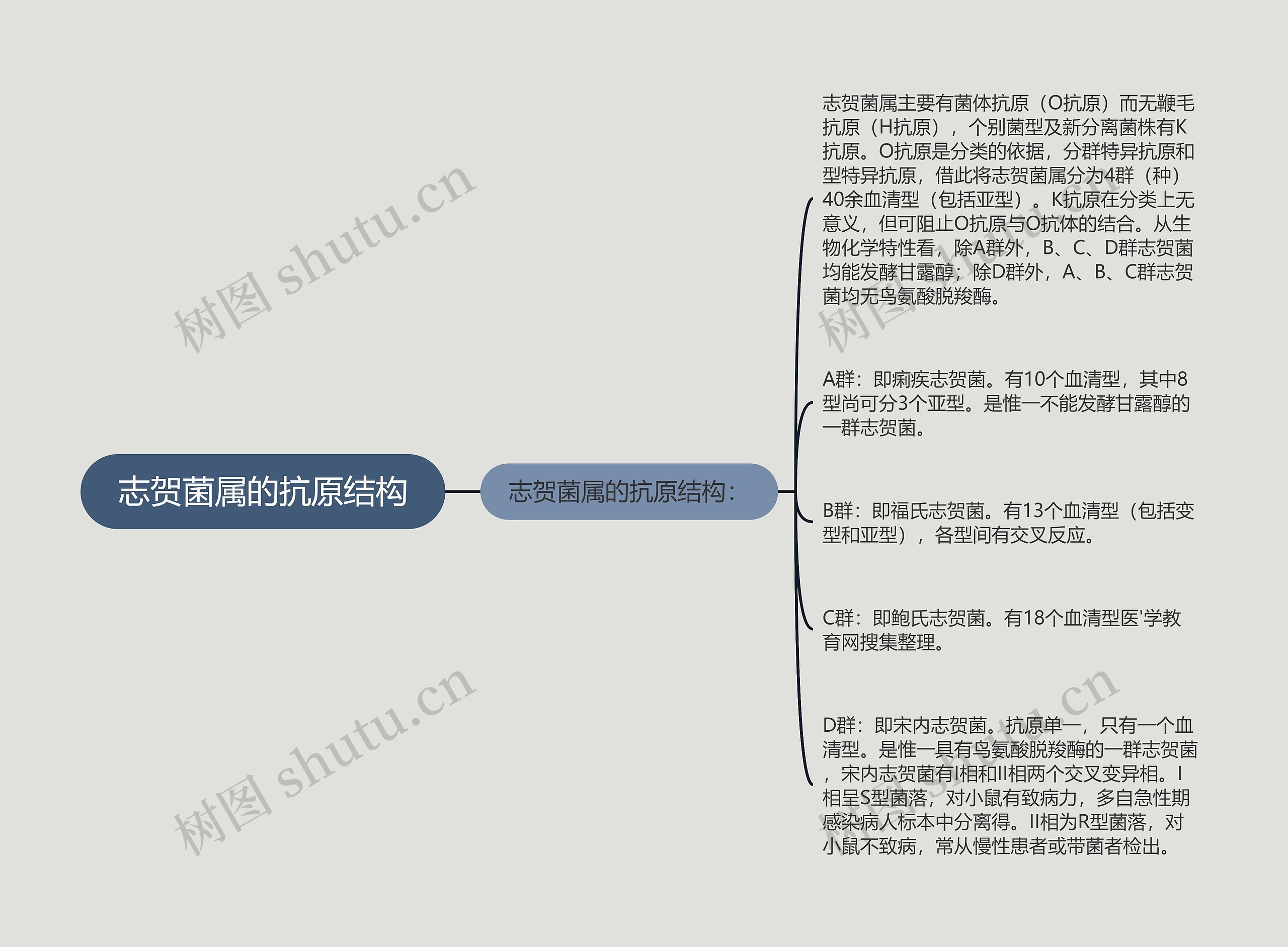 志贺菌属的抗原结构思维导图