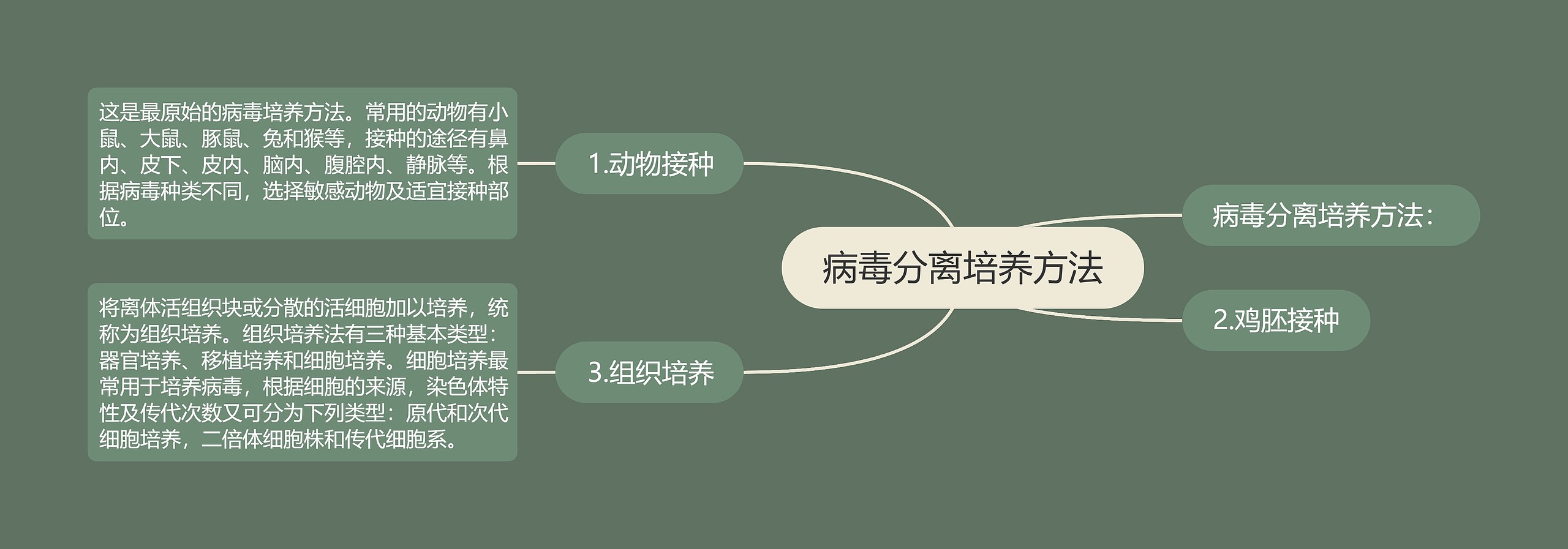 病毒分离培养方法思维导图