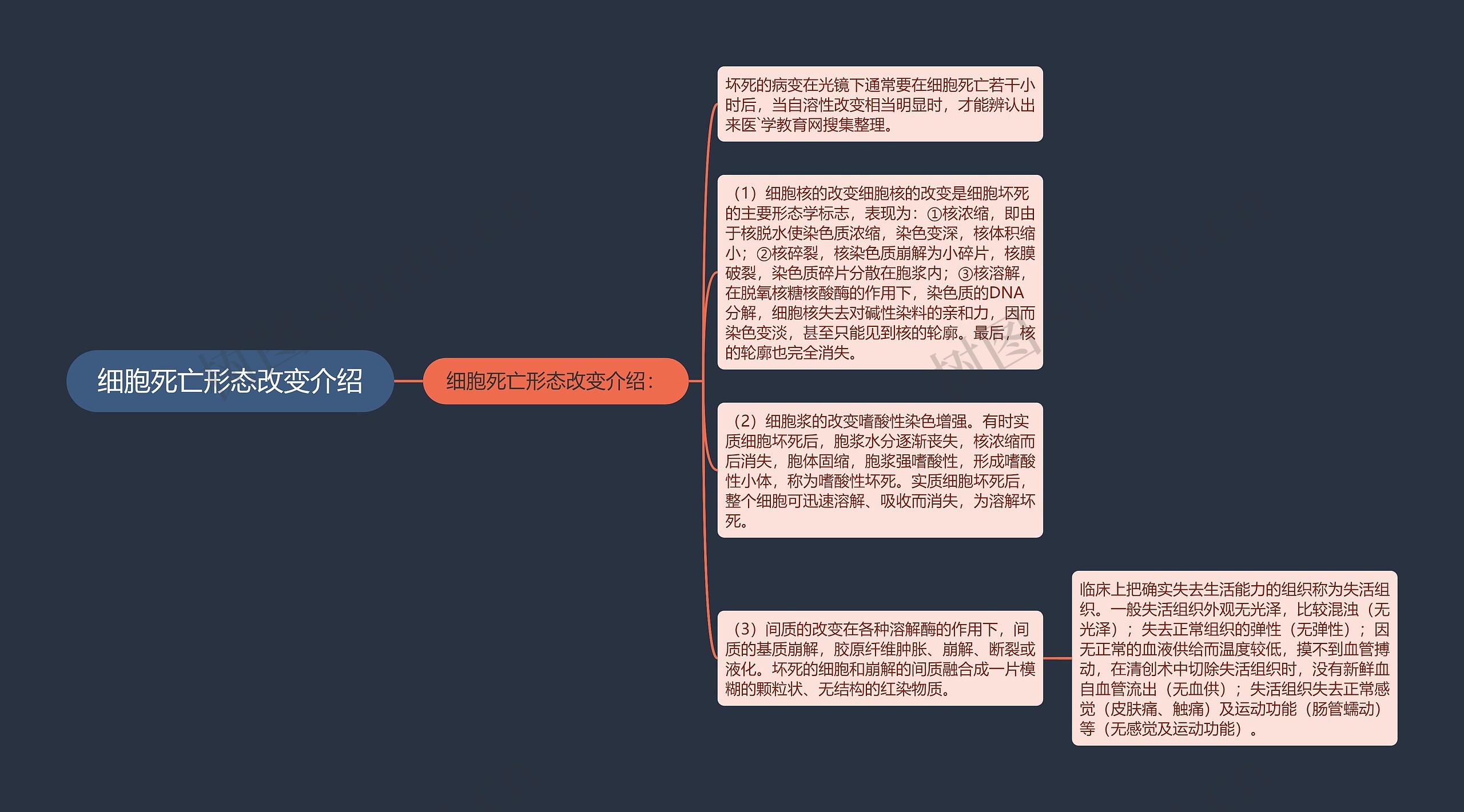 细胞死亡形态改变介绍思维导图