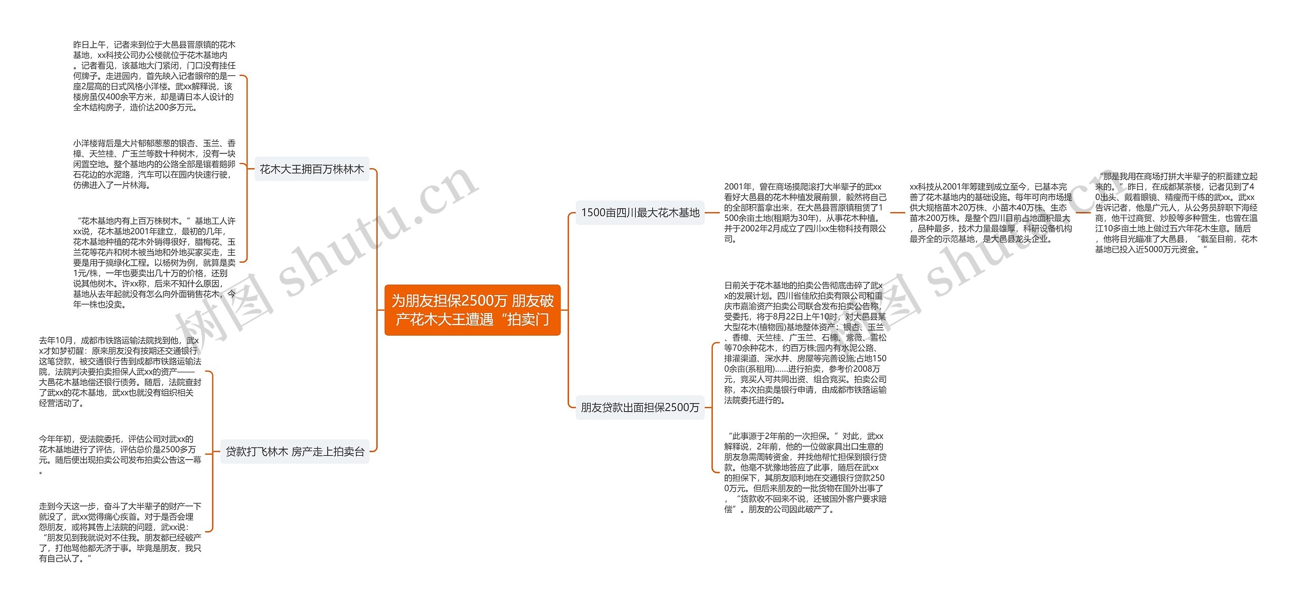 为朋友担保2500万 朋友破产花木大王遭遇“拍卖门思维导图