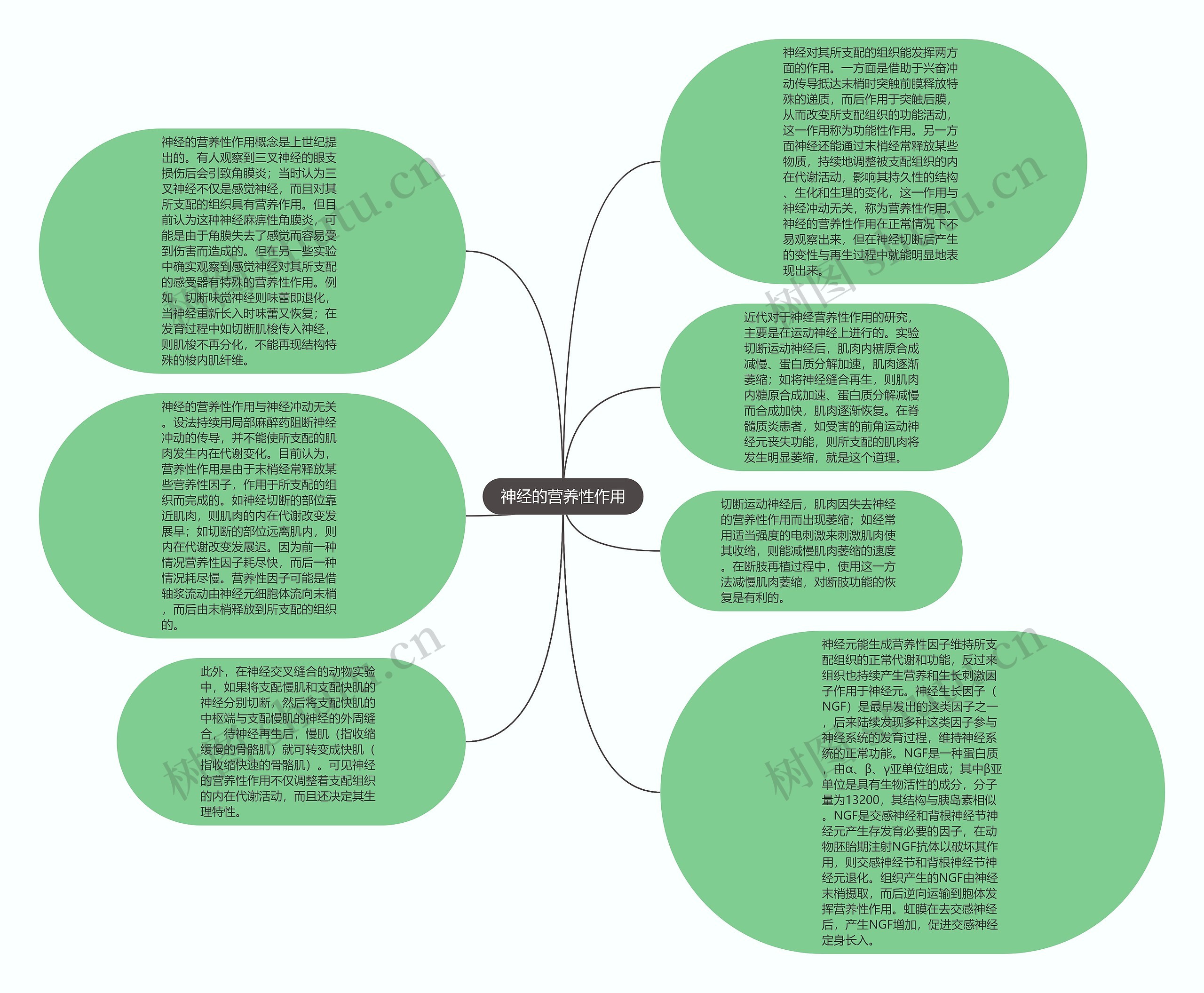 神经的营养性作用思维导图