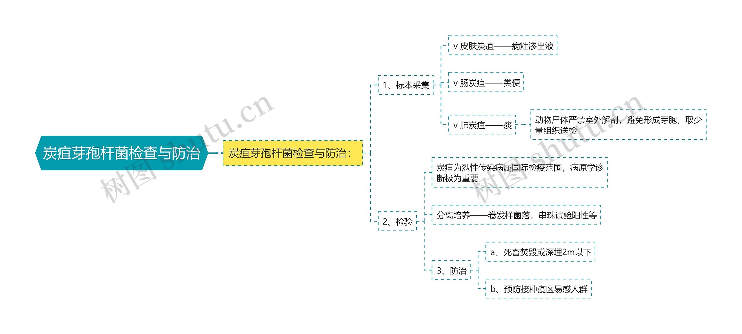 炭疽芽孢杆菌检查与防治思维导图