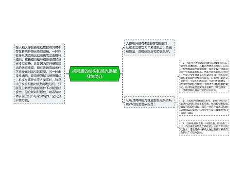 视网膜的结构和感光换能系统简介