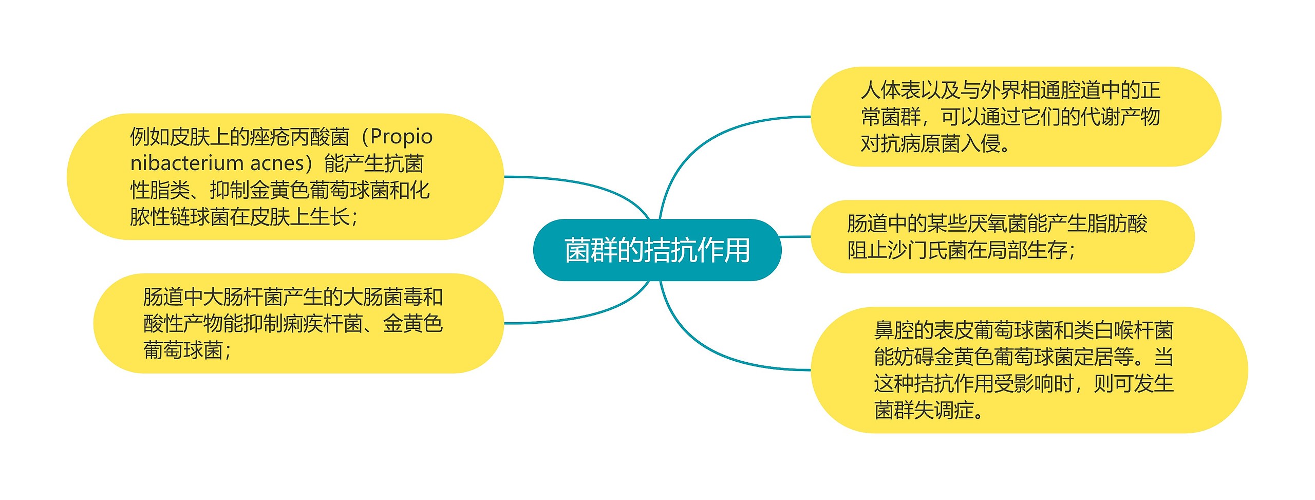 菌群的拮抗作用思维导图