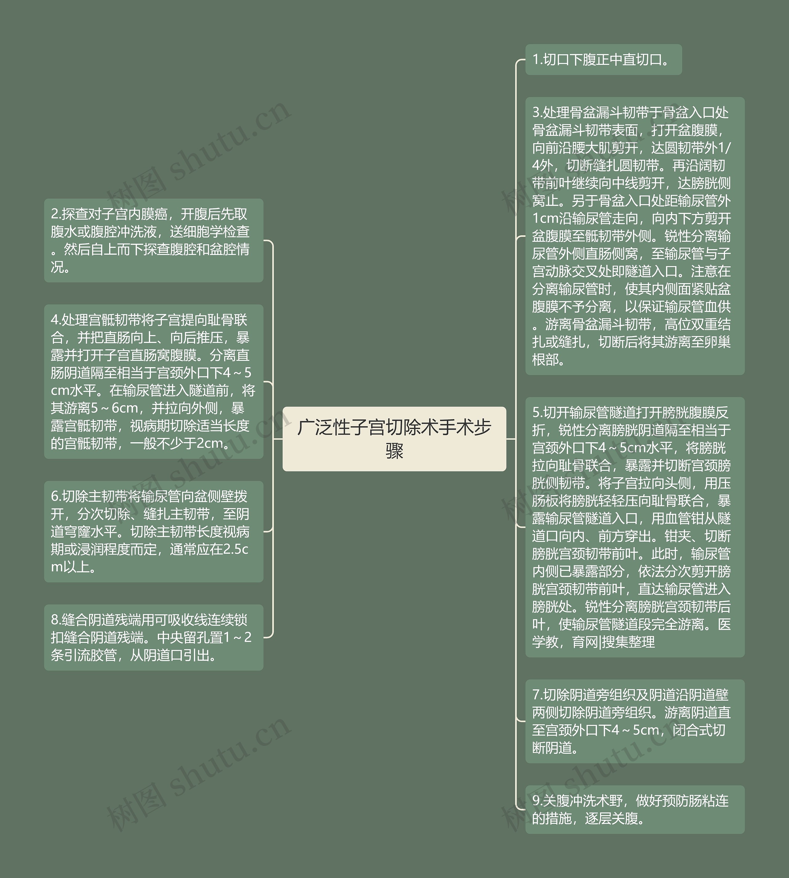 广泛性子宫切除术手术步骤思维导图