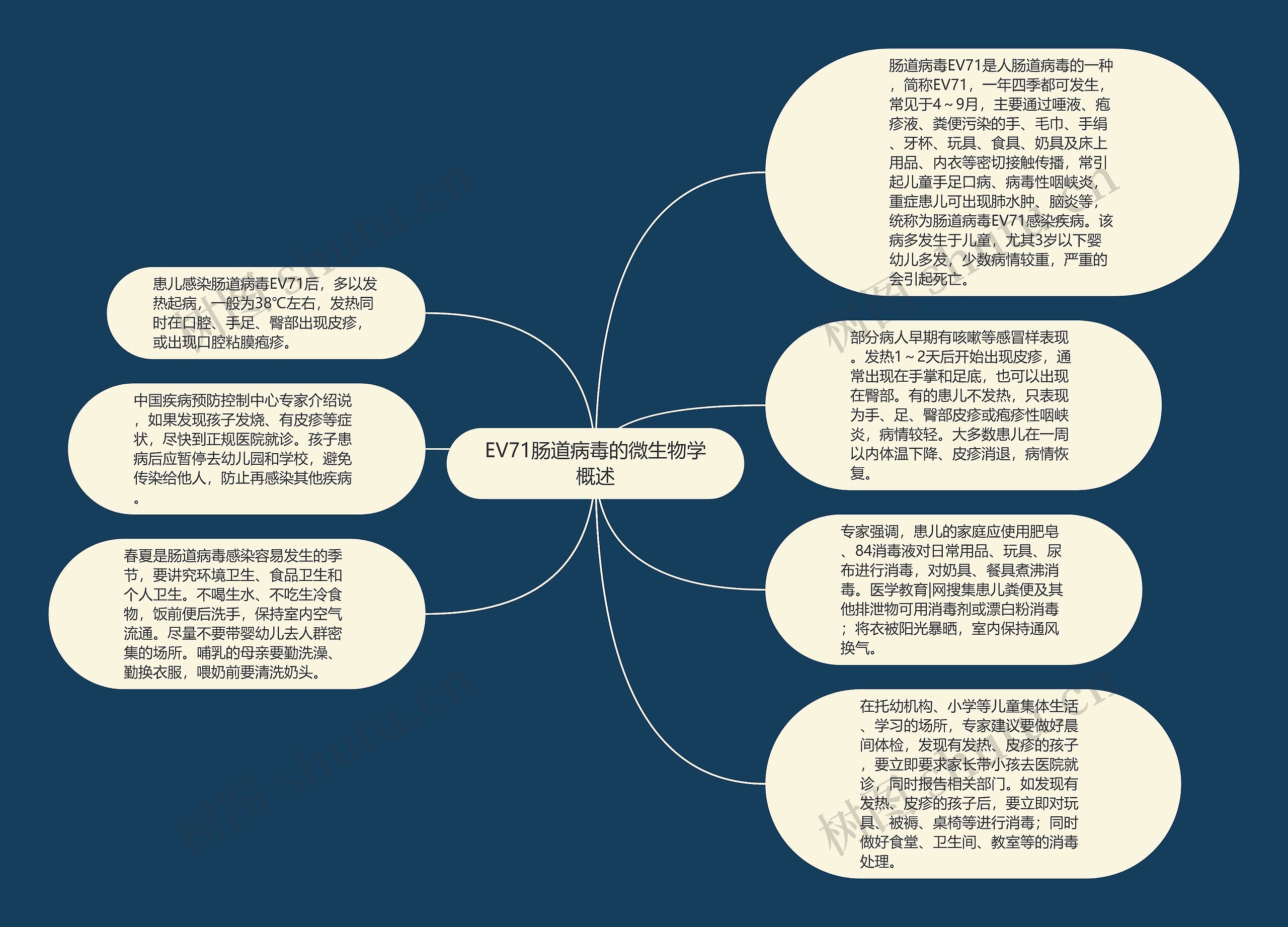 EV71肠道病毒的微生物学概述思维导图