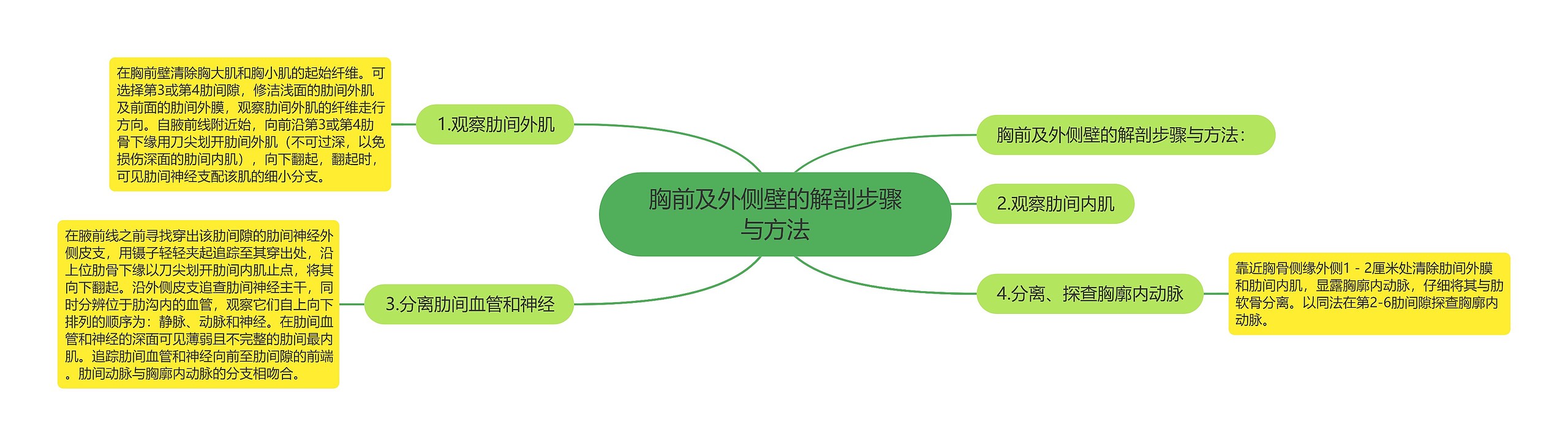 胸前及外侧壁的解剖步骤与方法思维导图