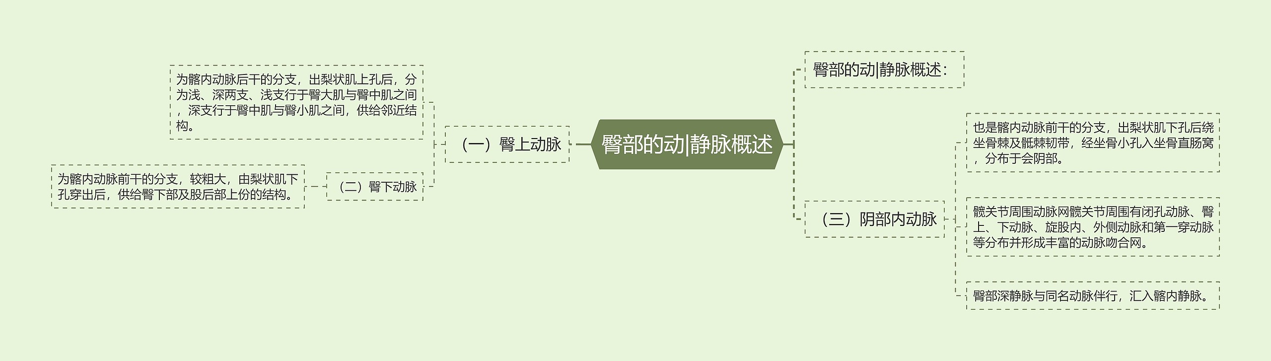 臀部的动|静脉概述 臀部的动|静脉概述