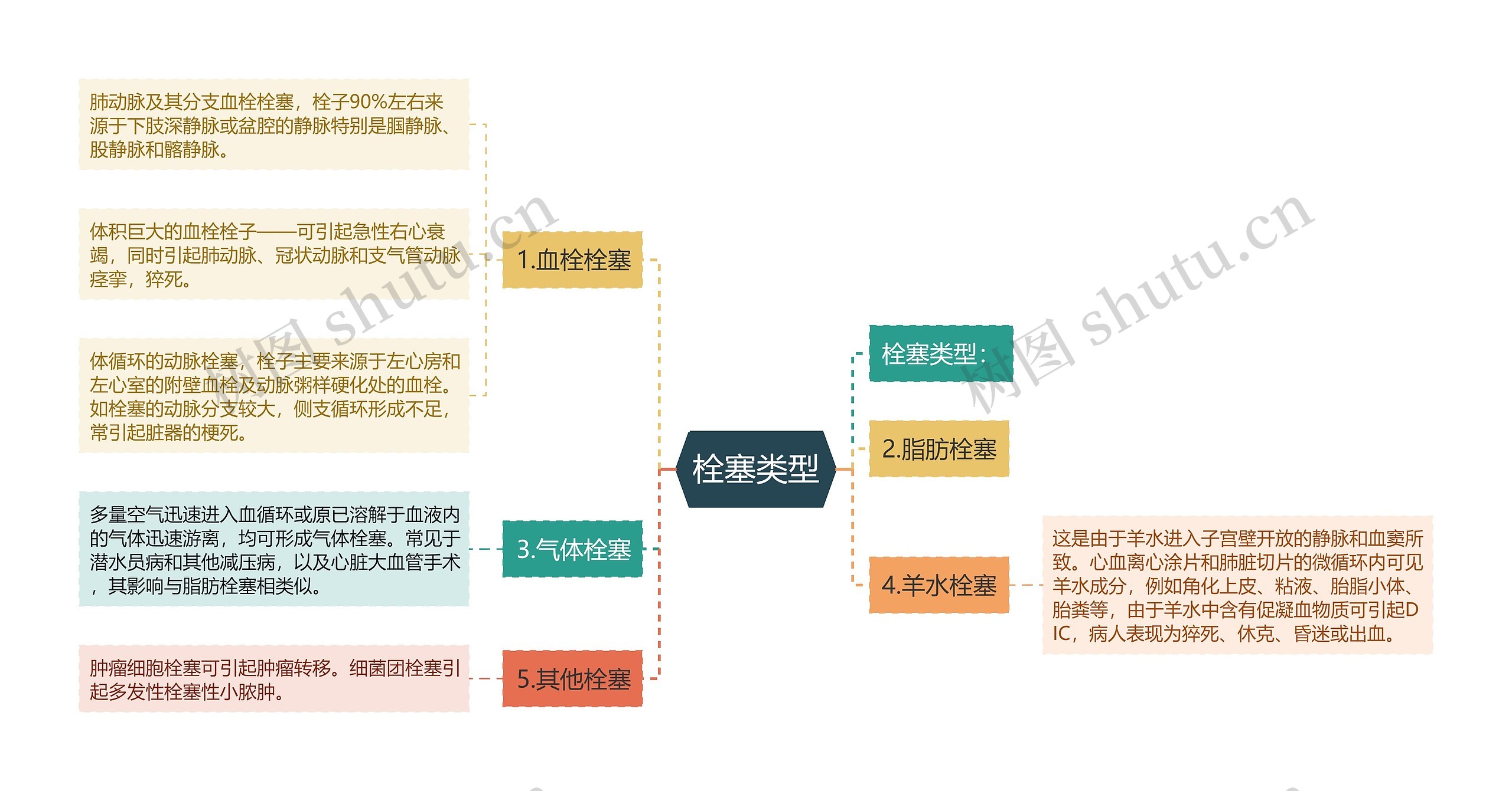 栓塞类型思维导图