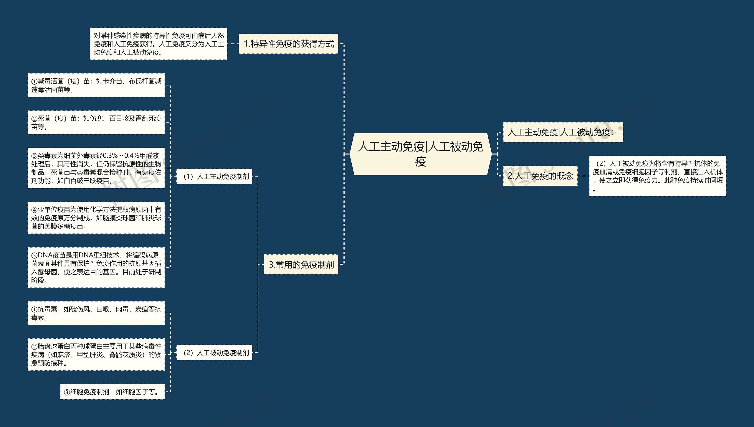 人工主动免疫|人工被动免疫思维导图