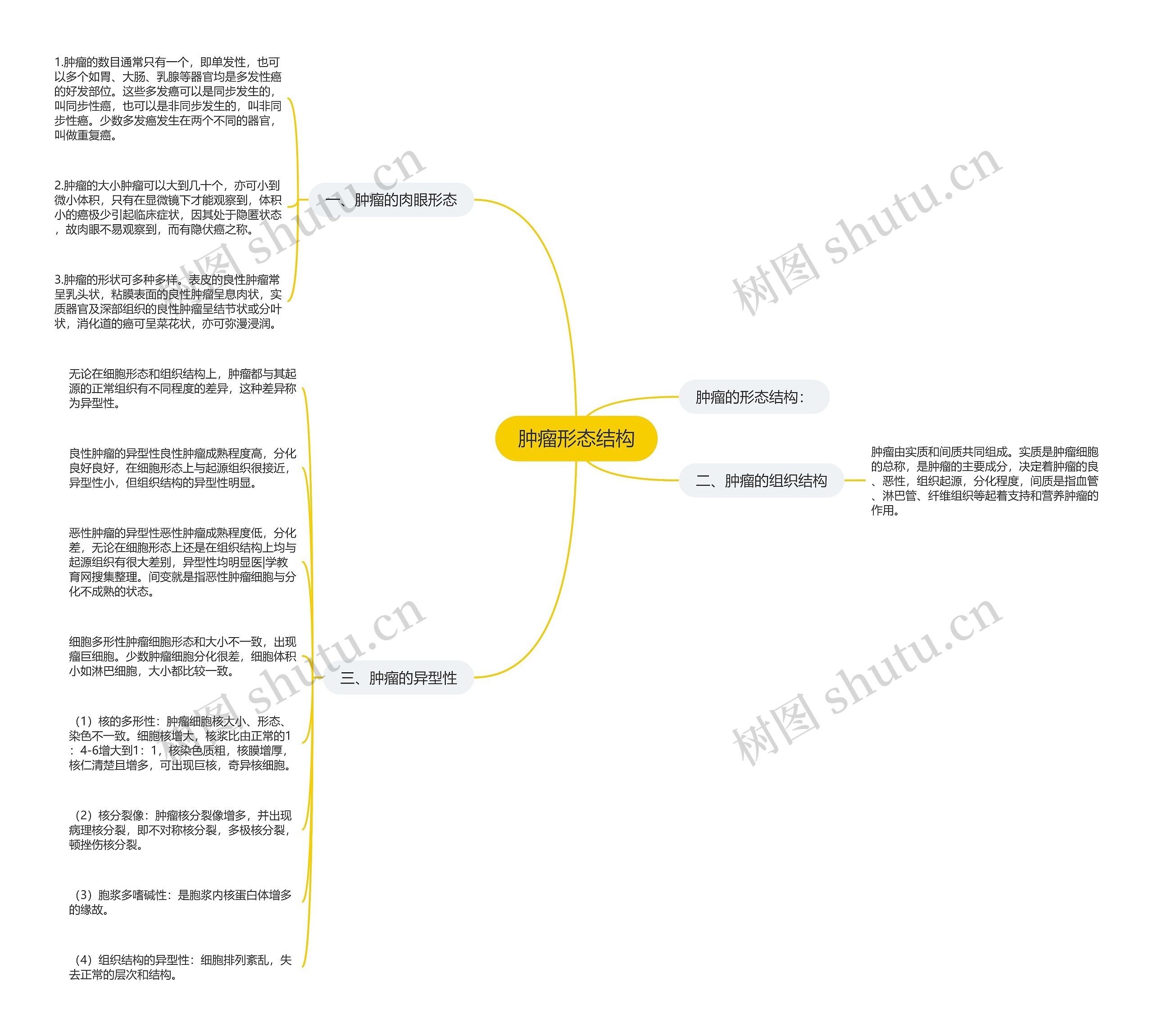 肿瘤形态结构思维导图