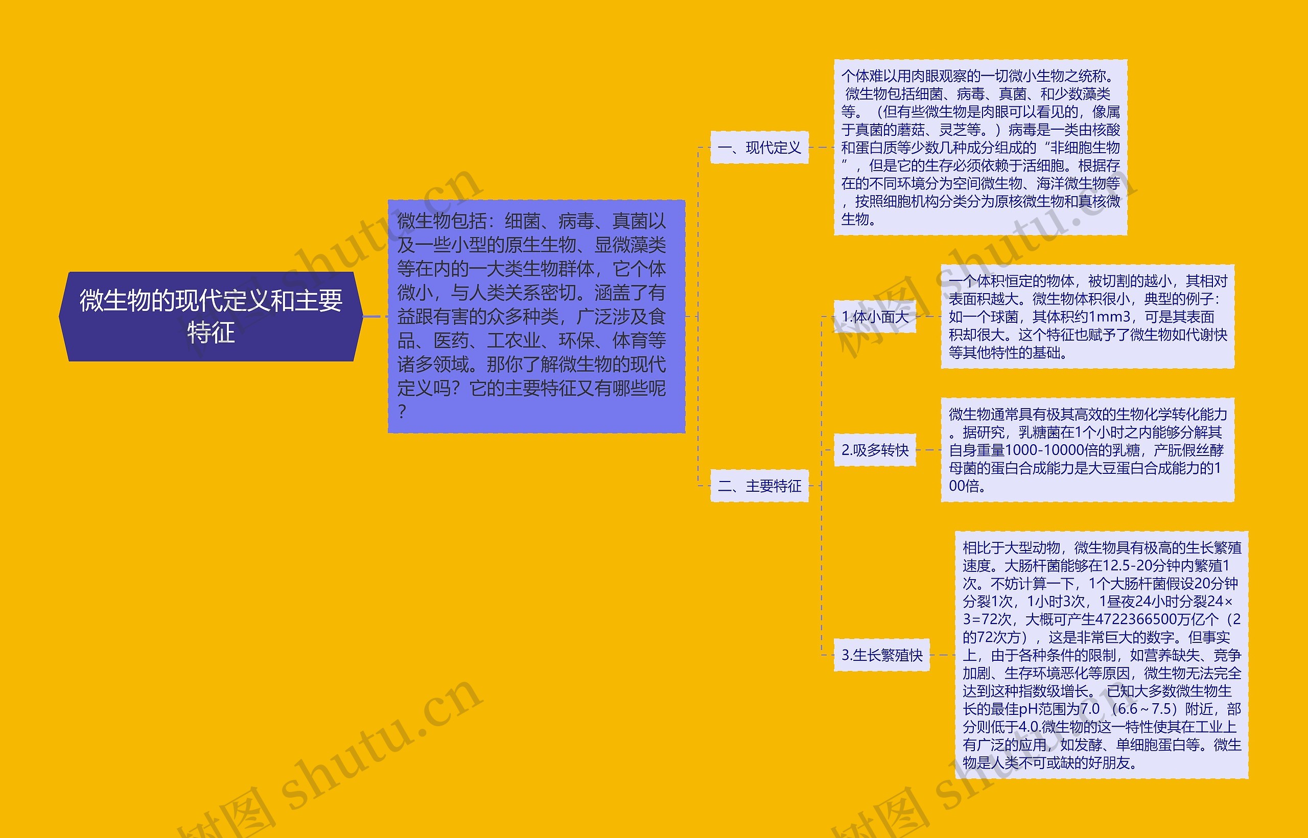 微生物的现代定义和主要特征