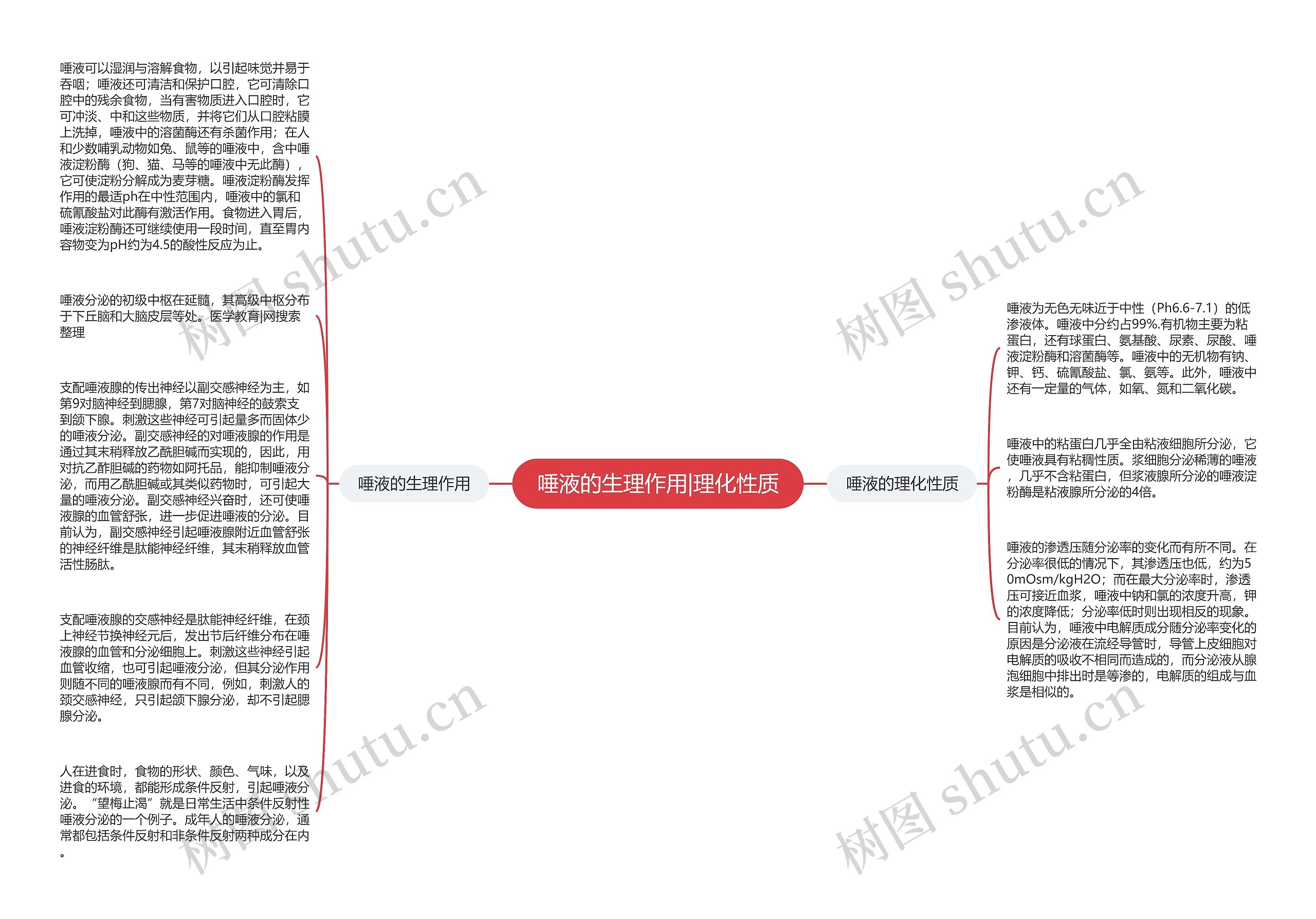 唾液的生理作用|理化性质思维导图