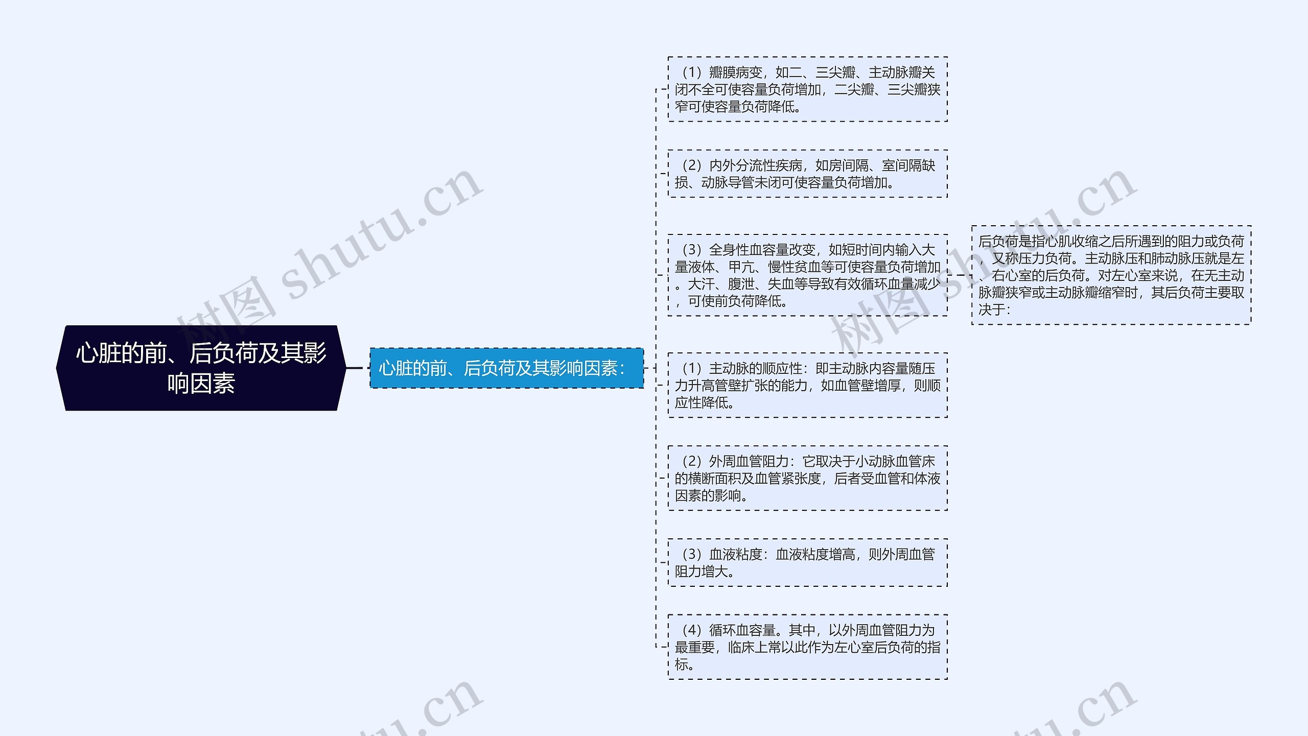 心脏的前、后负荷及其影响因素