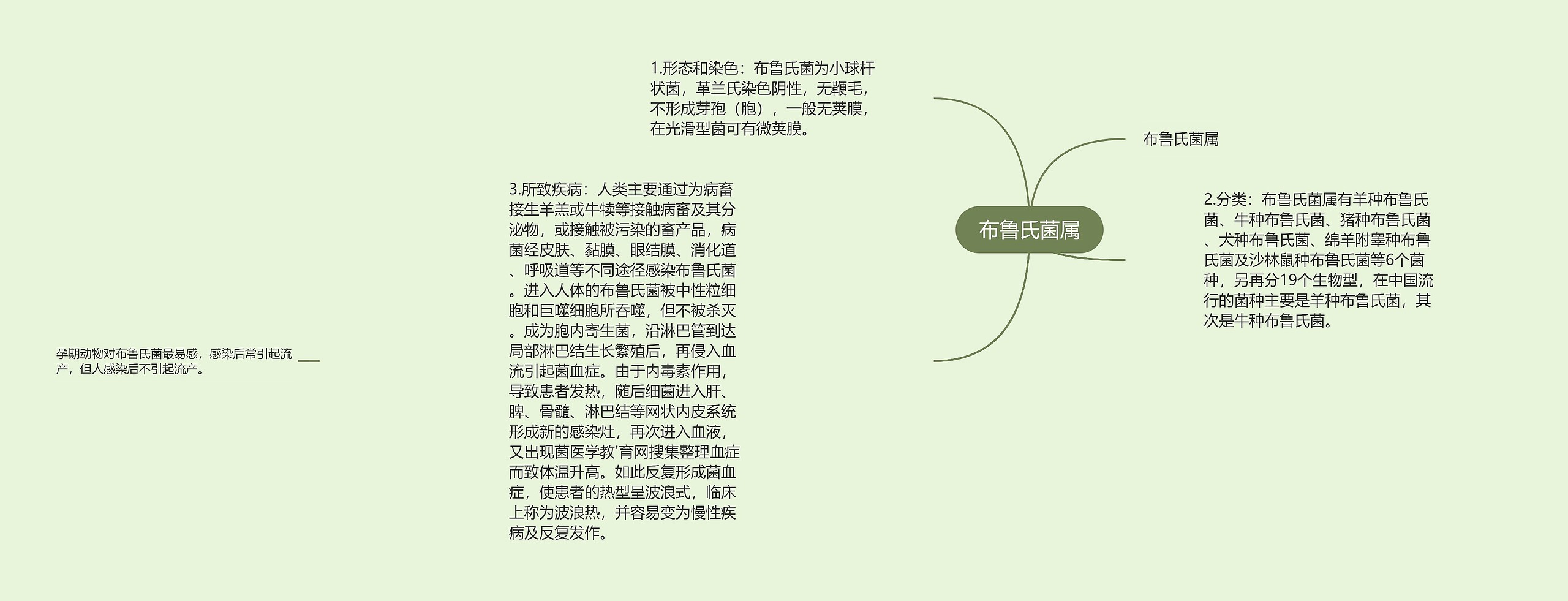 布鲁氏菌属思维导图高清图 布鲁氏菌属思维导图