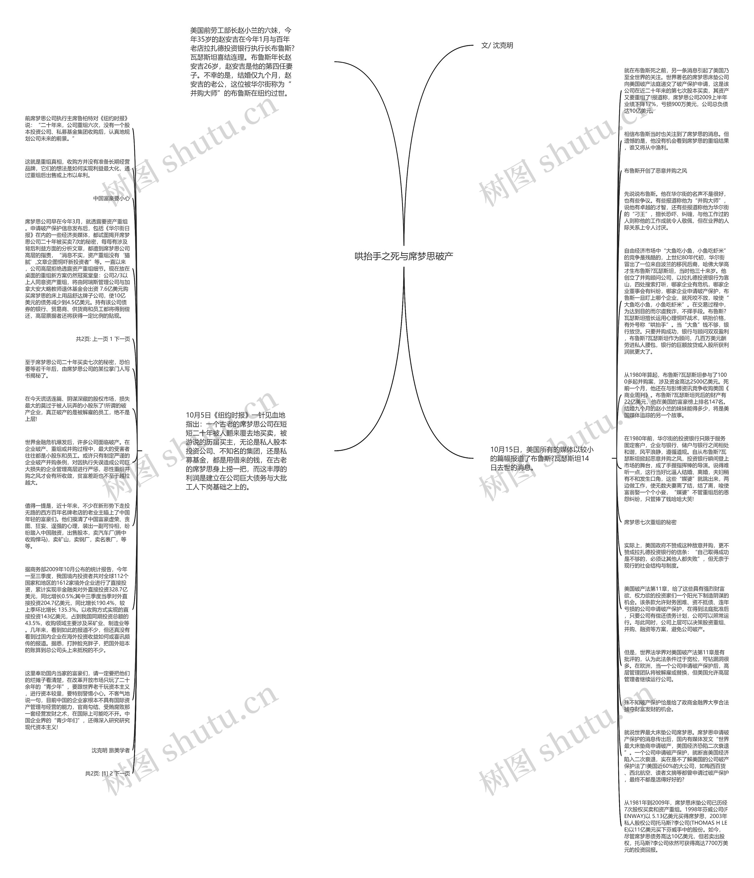 哄抬手之死与席梦思破产思维导图