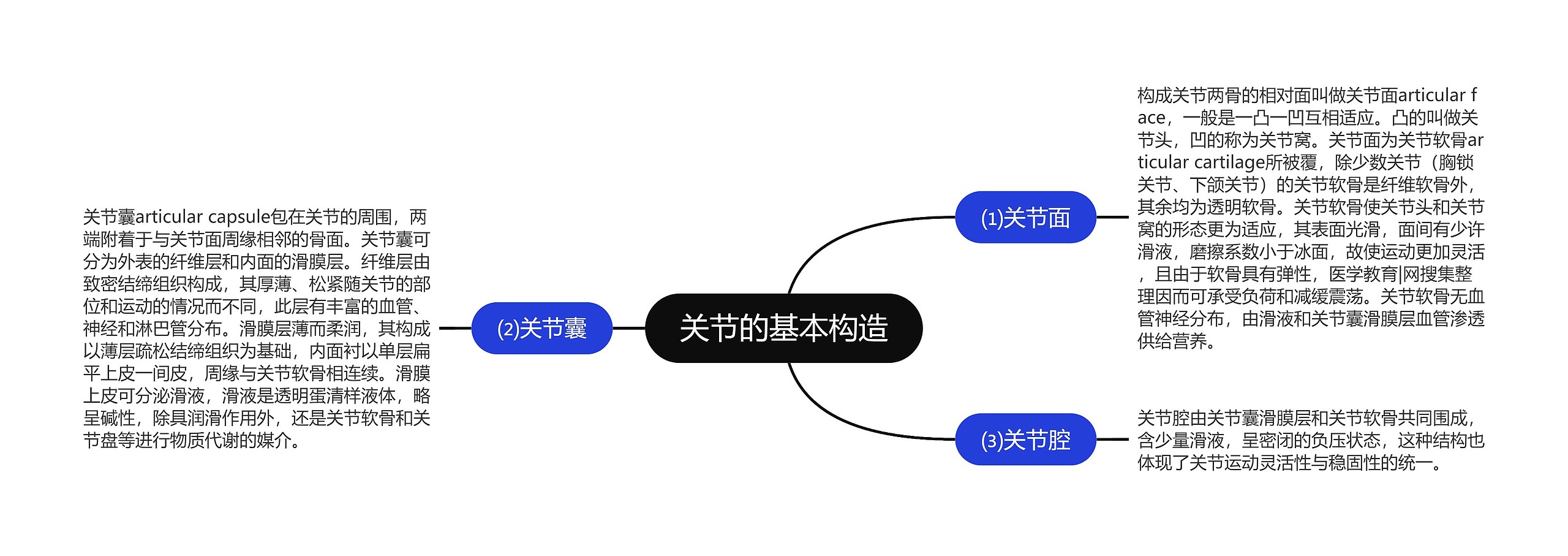 关节的基本构造