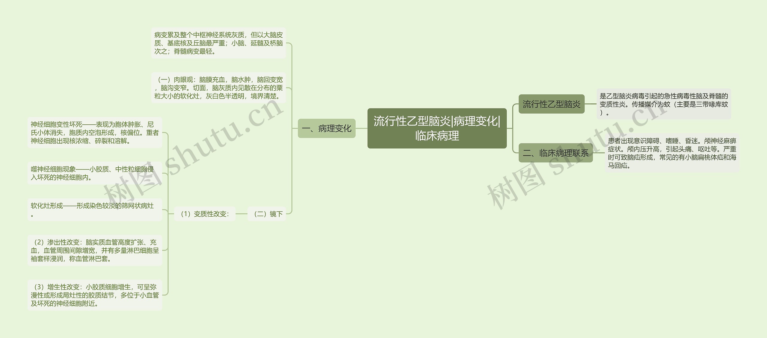 流行性乙型脑炎|病理变化|临床病理