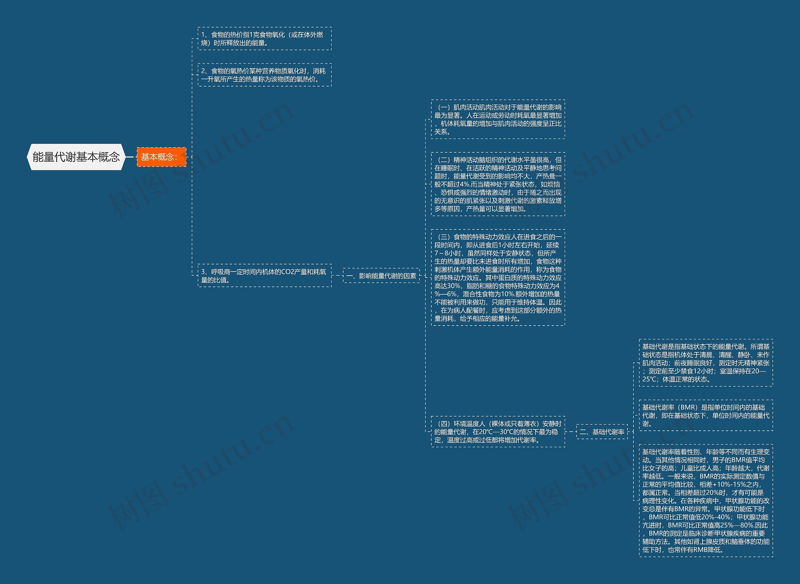 能量代谢基本概念 能量代谢基本概念