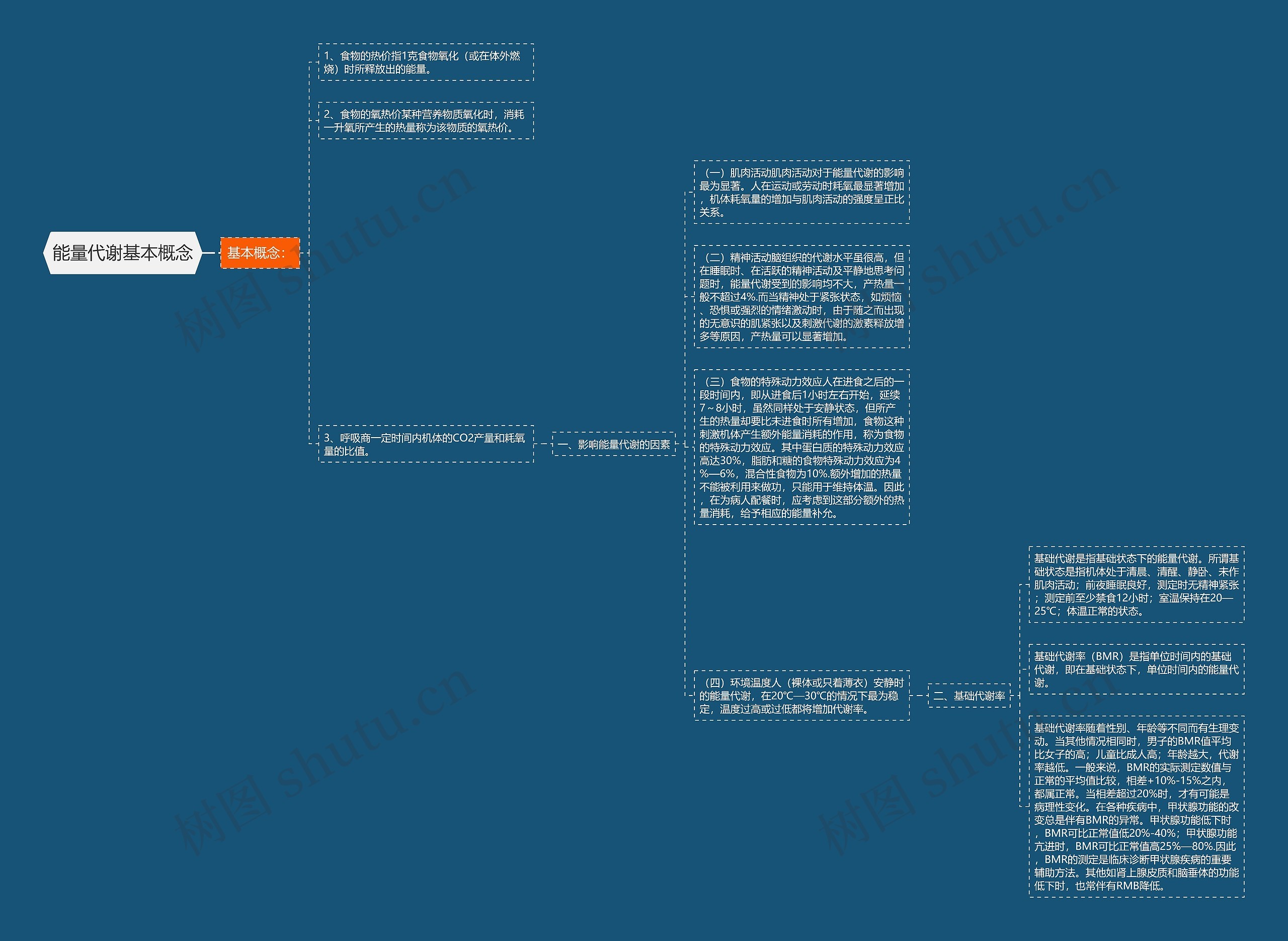 能量代谢基本概念思维导图