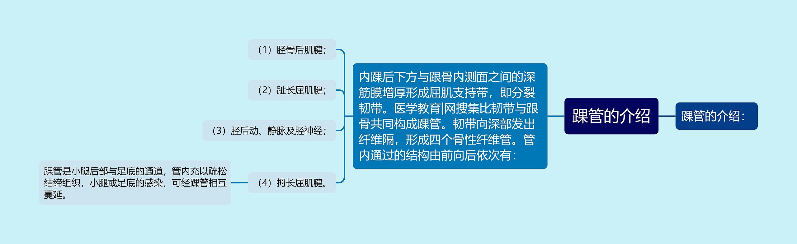 踝管的介绍 踝管的介绍