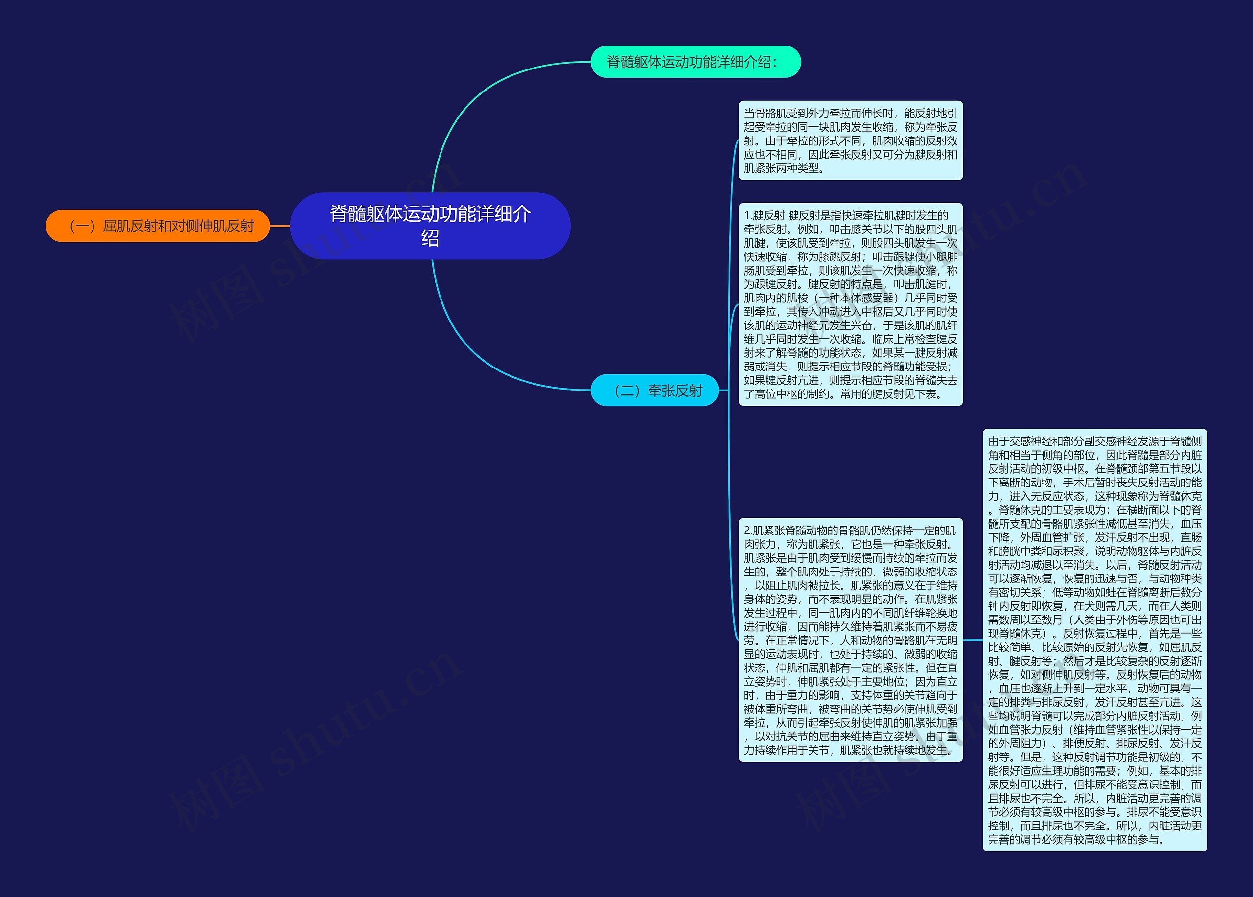 脊髓躯体运动功能详细介绍思维导图