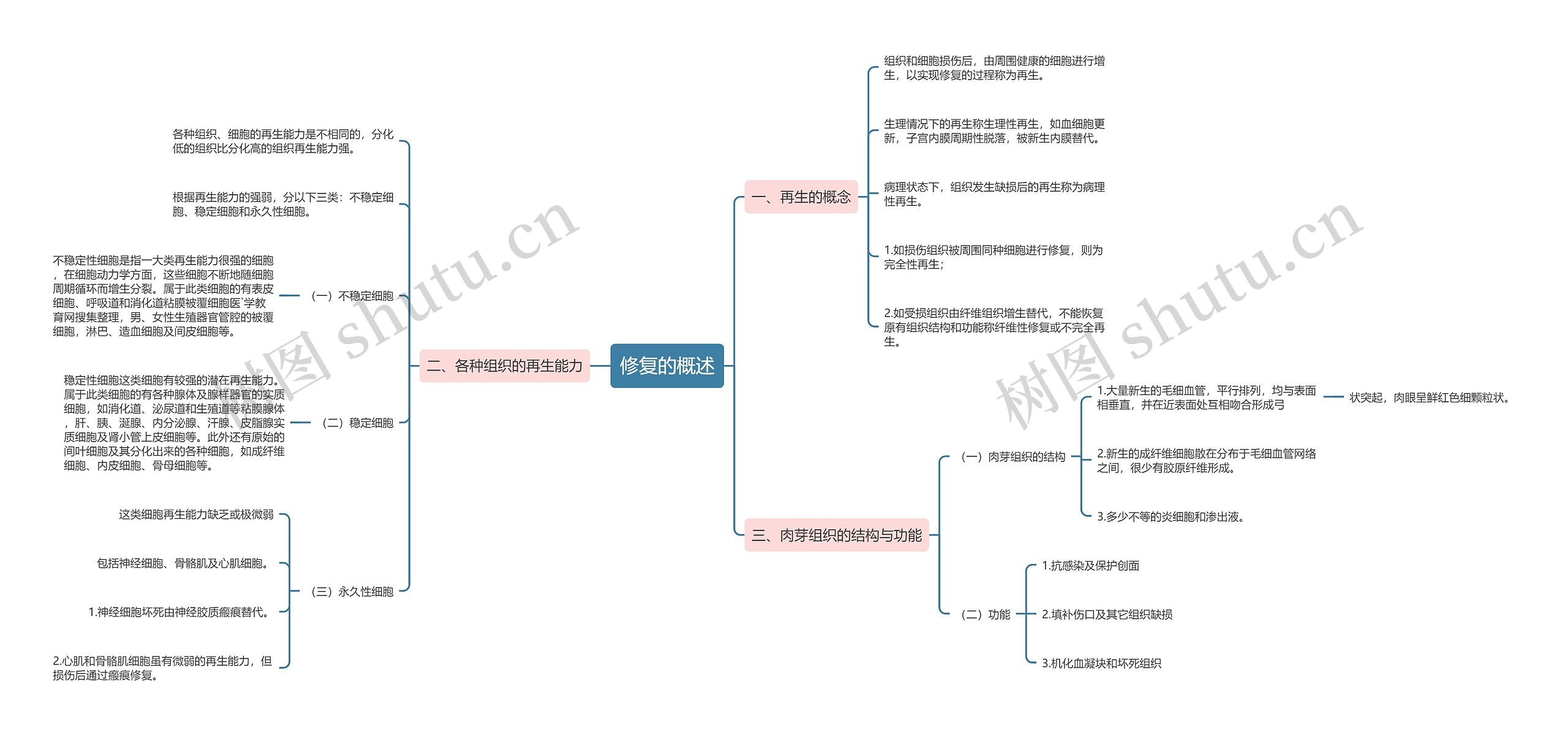 修复的概述思维导图