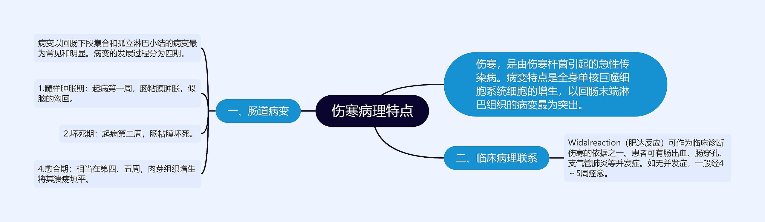 伤寒病理特点思维导图