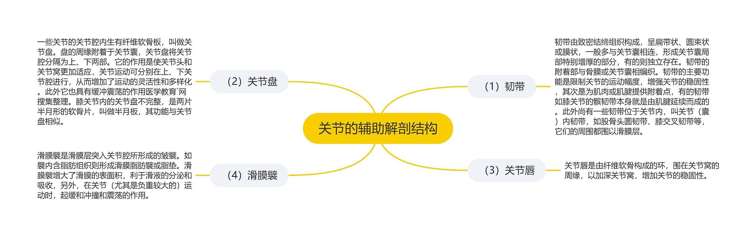 关节的辅助解剖结构 关节的辅助解剖结构