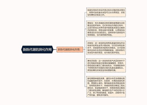 新陈代谢的异化作用