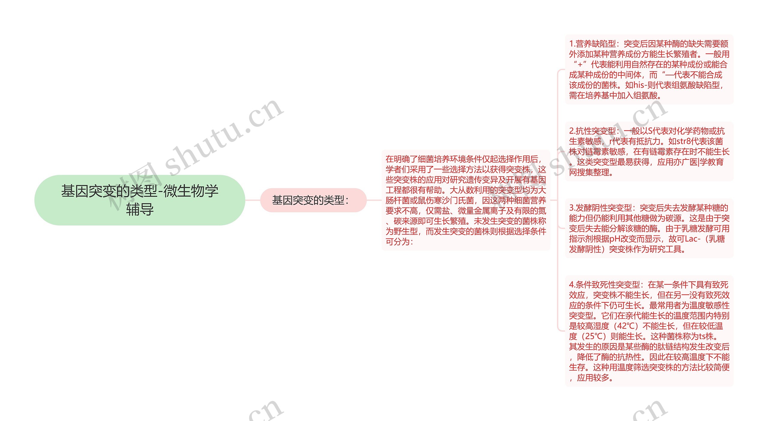 基因突变的类型-微生物学辅导思维导图