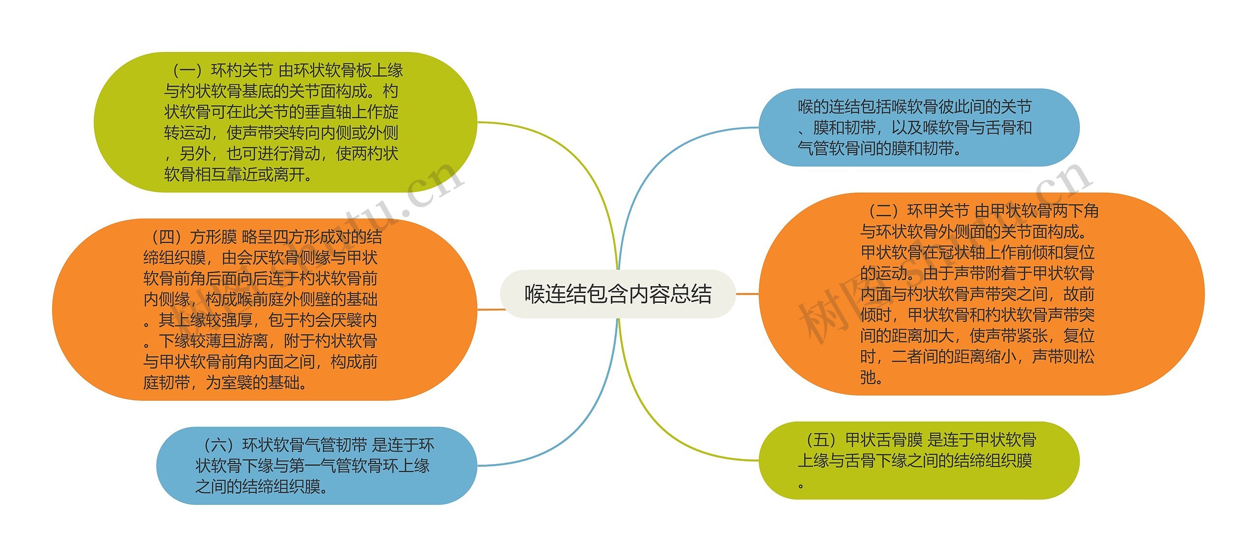 喉连结包含内容总结