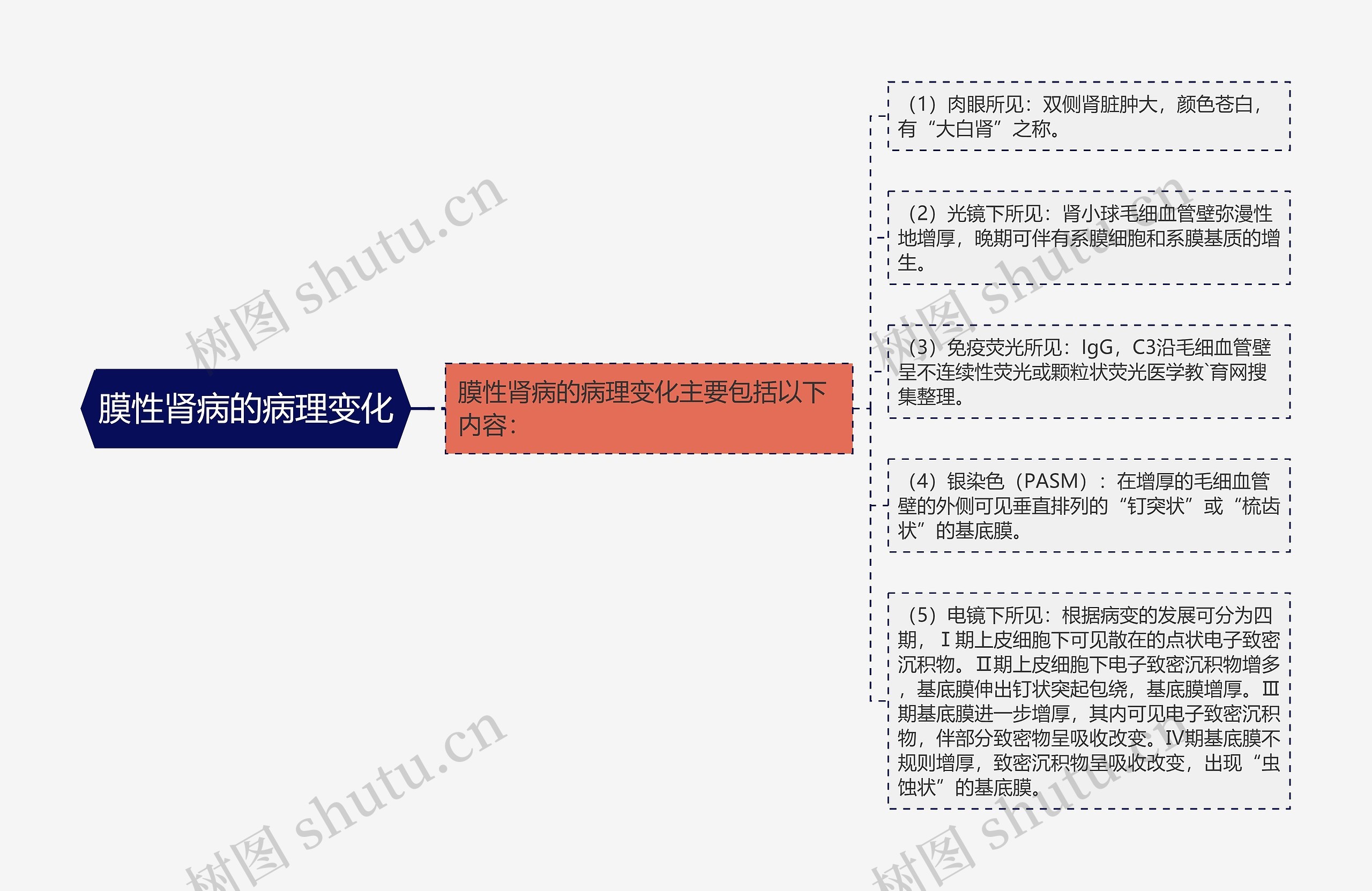 膜性肾病的病理变化