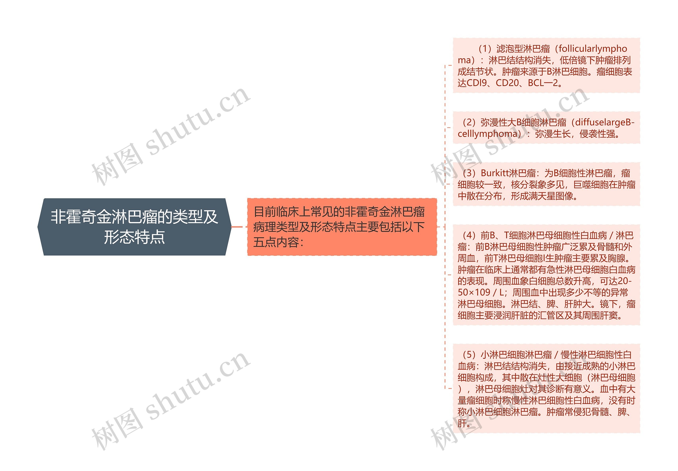 非霍奇金淋巴瘤的类型及形态特点思维导图