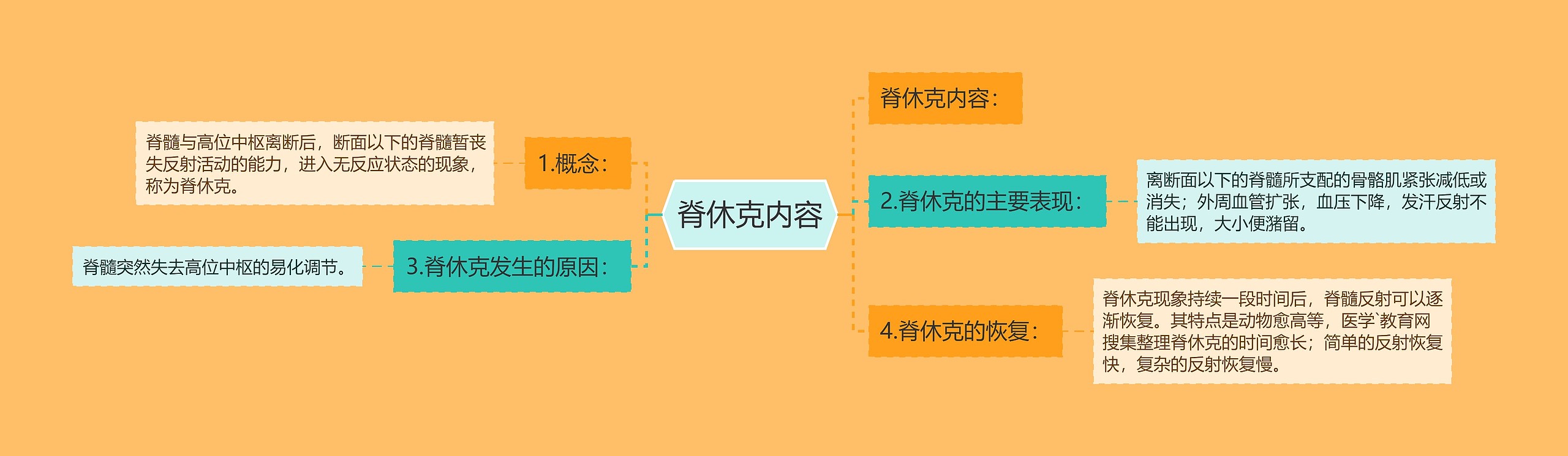 脊休克内容 脊休克内容