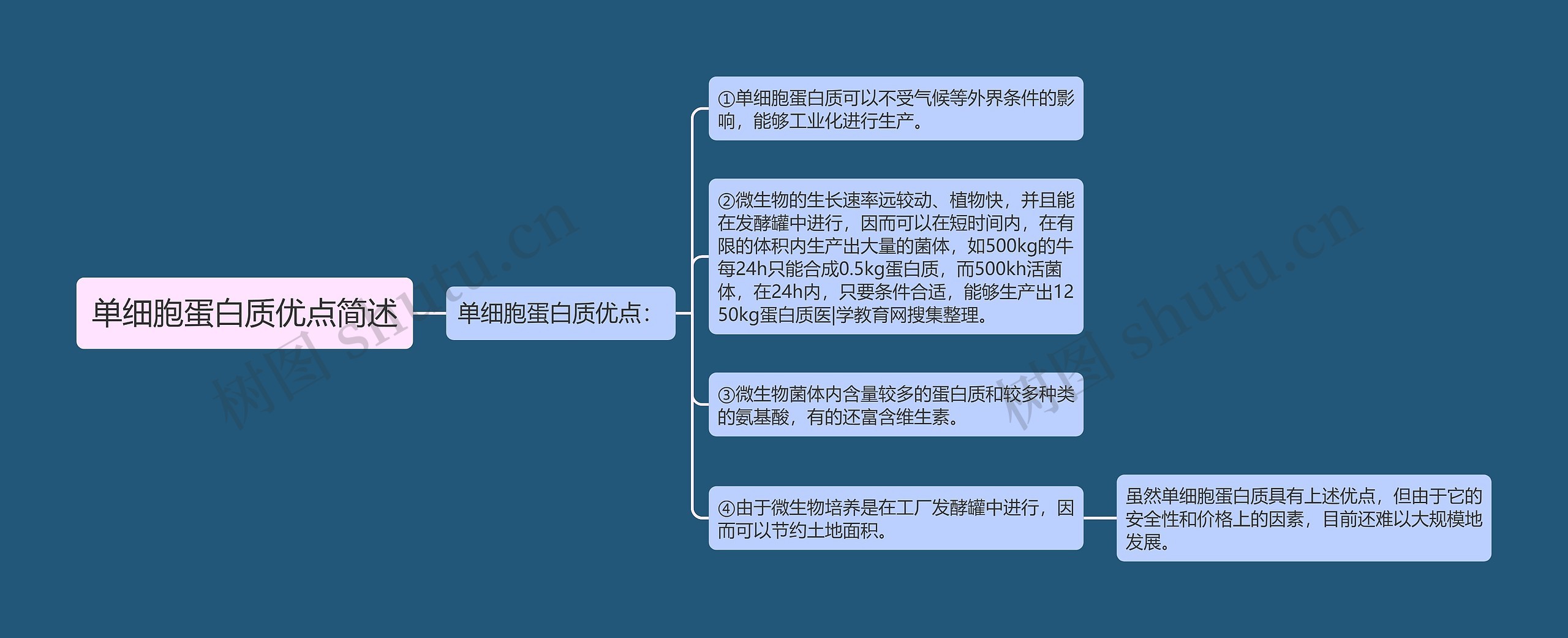 单细胞蛋白质优点简述思维导图