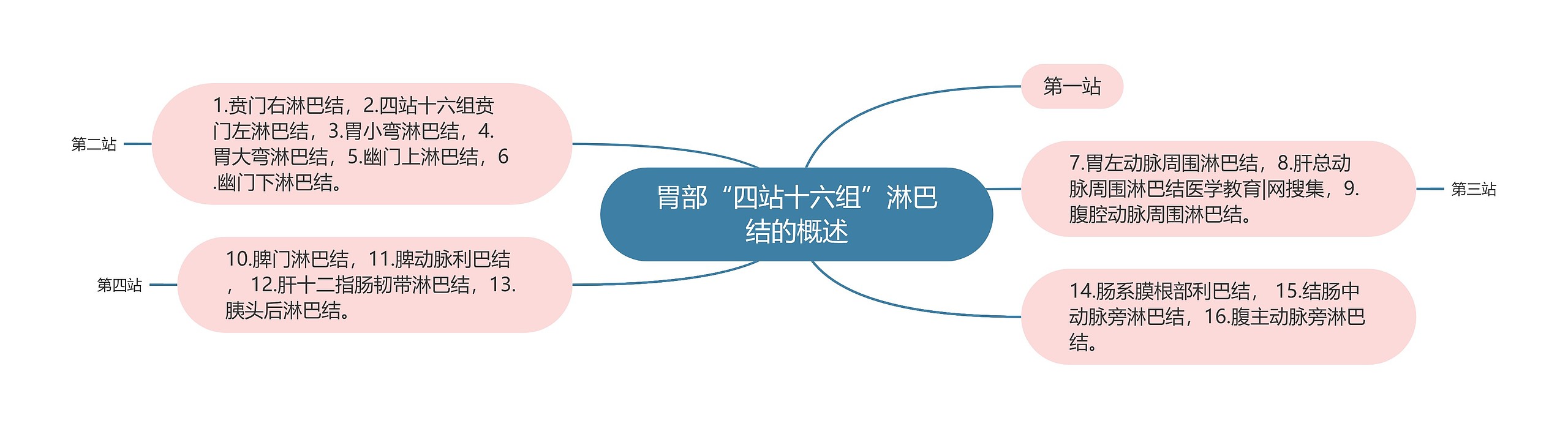 胃部“四站十六组”淋巴结的概述 胃部“四站十六组”淋巴结的概述