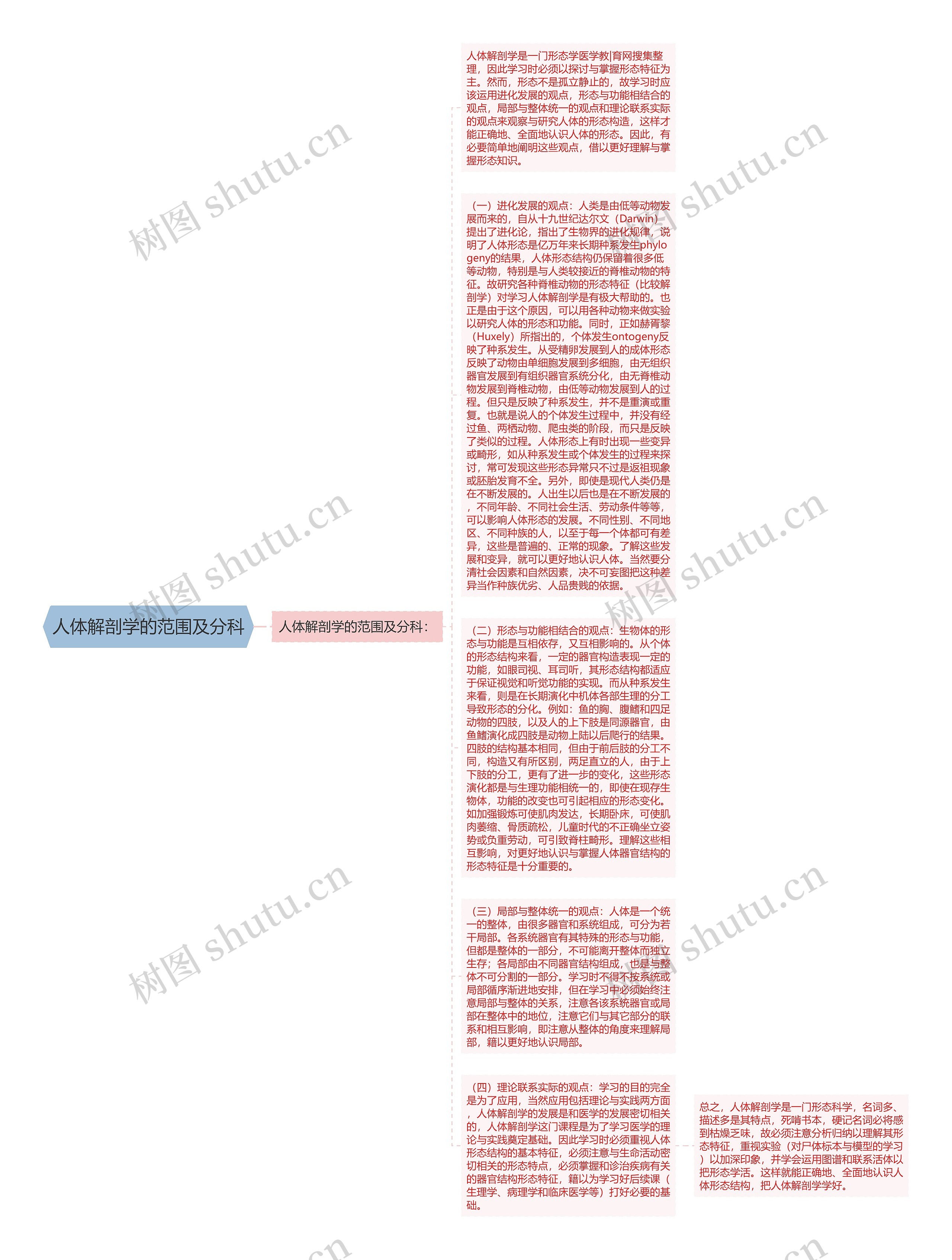 人体解剖学的范围及分科思维导图