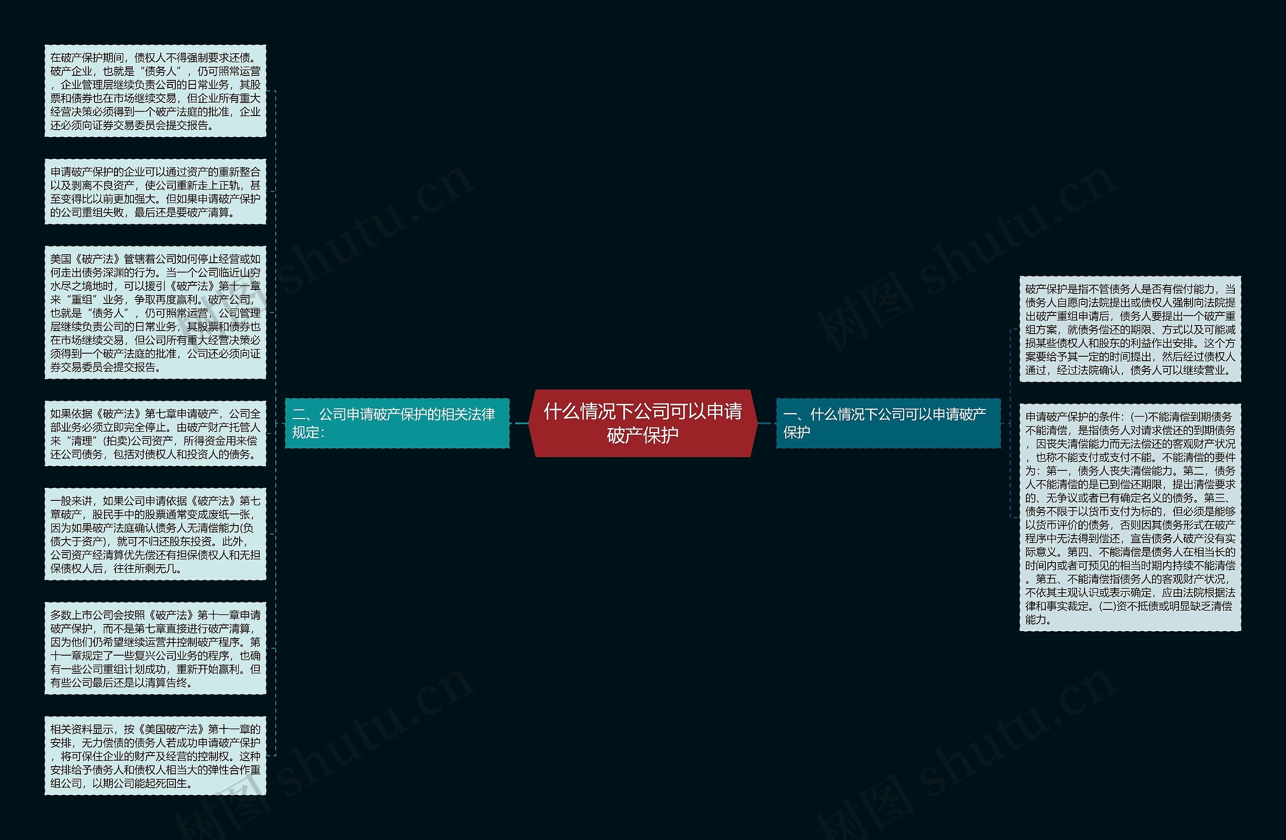 什么情况下公司可以申请破产保护思维导图